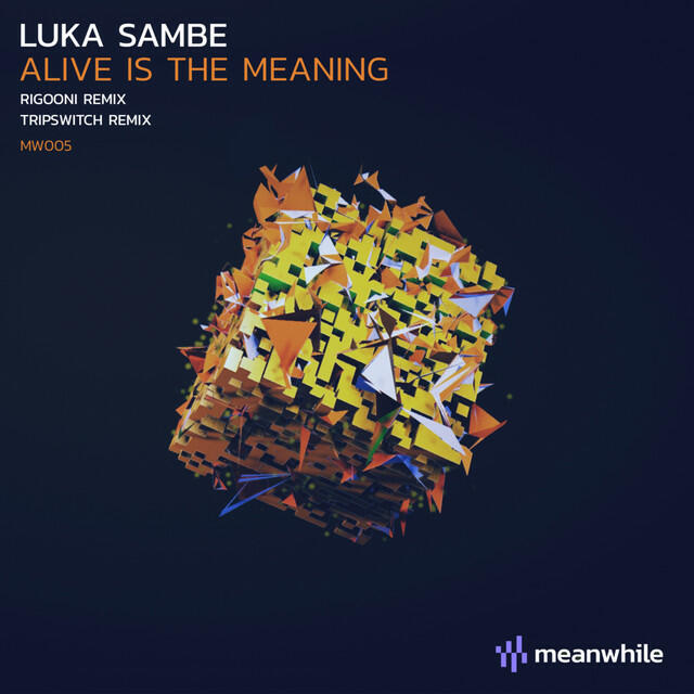 Релиз Alive is the Meaning (incl. RIGOONI, Tripswitch Remixes)