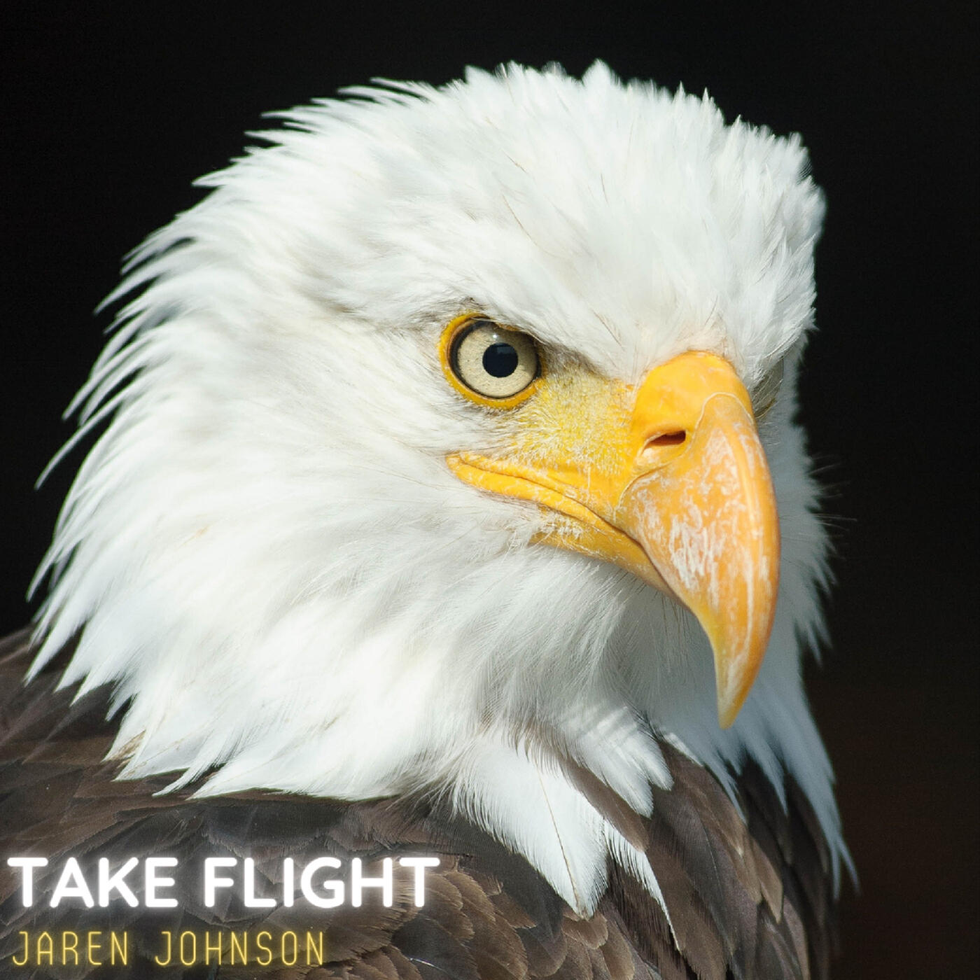 Релиз Take Flight