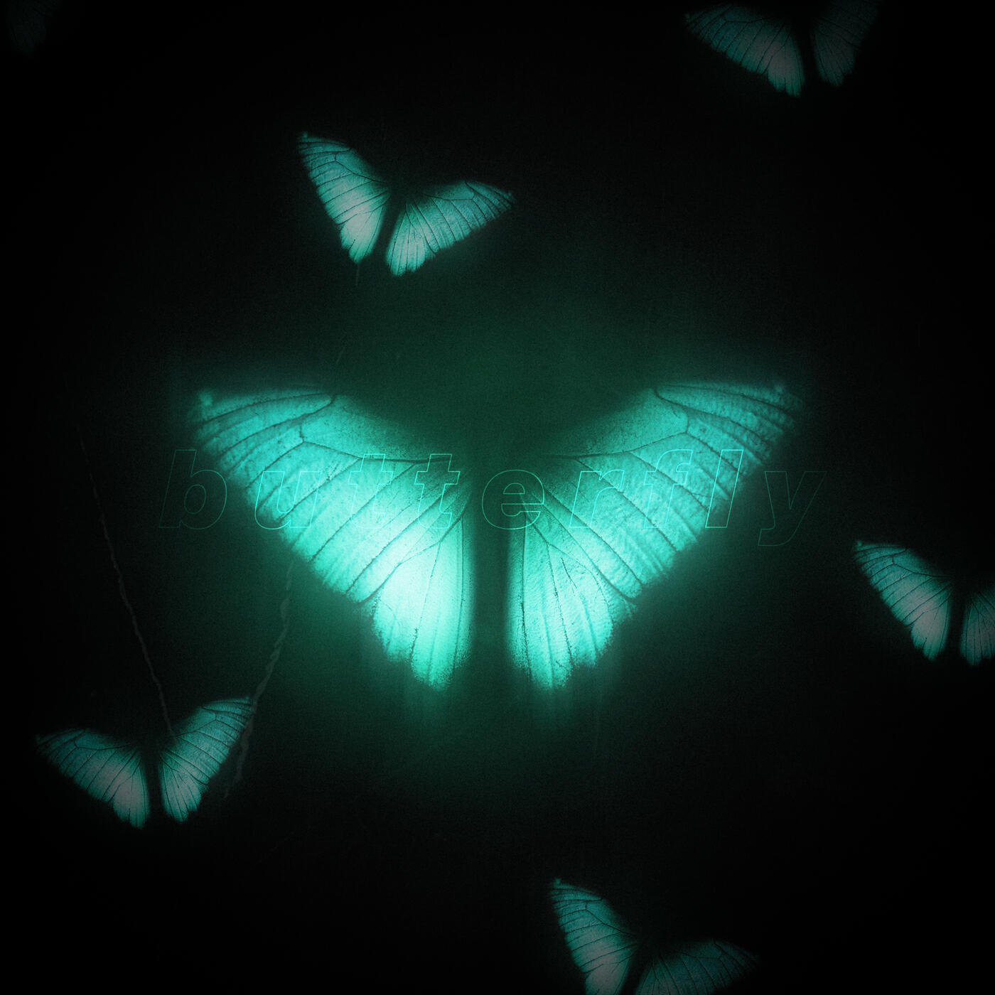 Релиз butterfly
