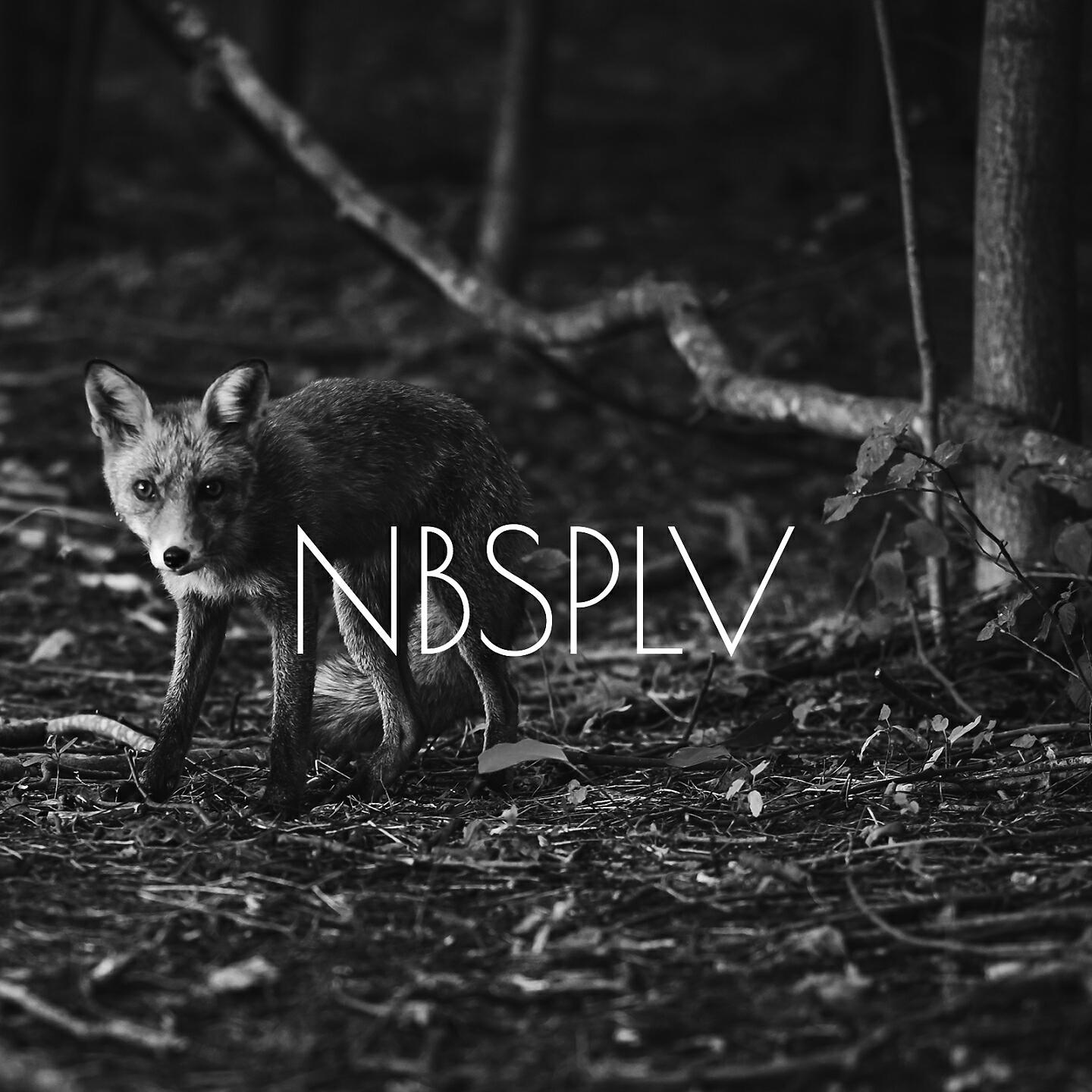 Релиз No Chances
