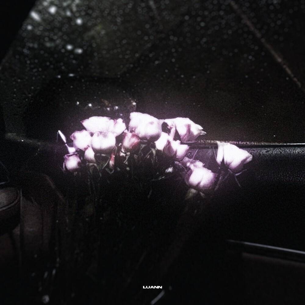 Релиз Rosa Orchideen