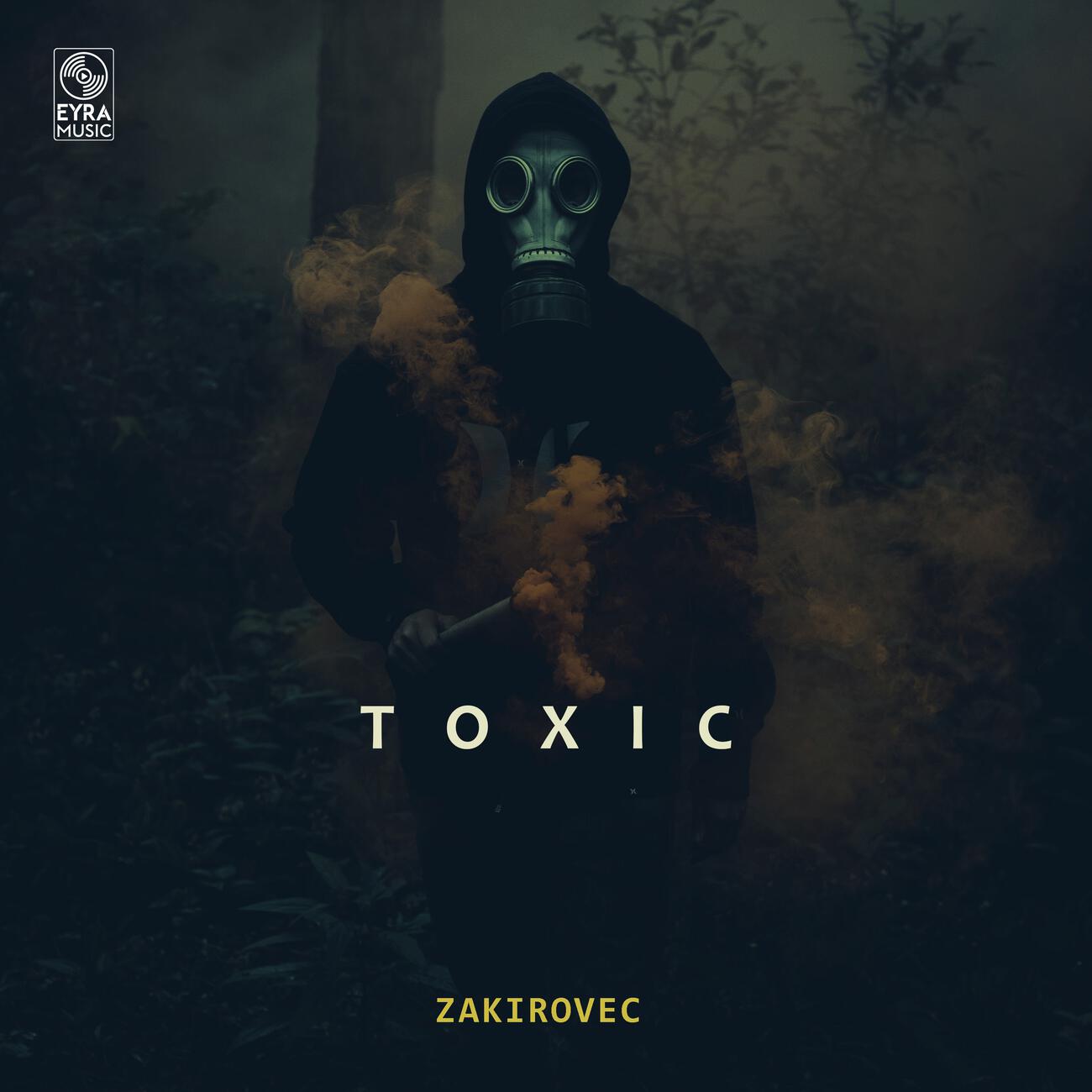 Постер альбома Toxic