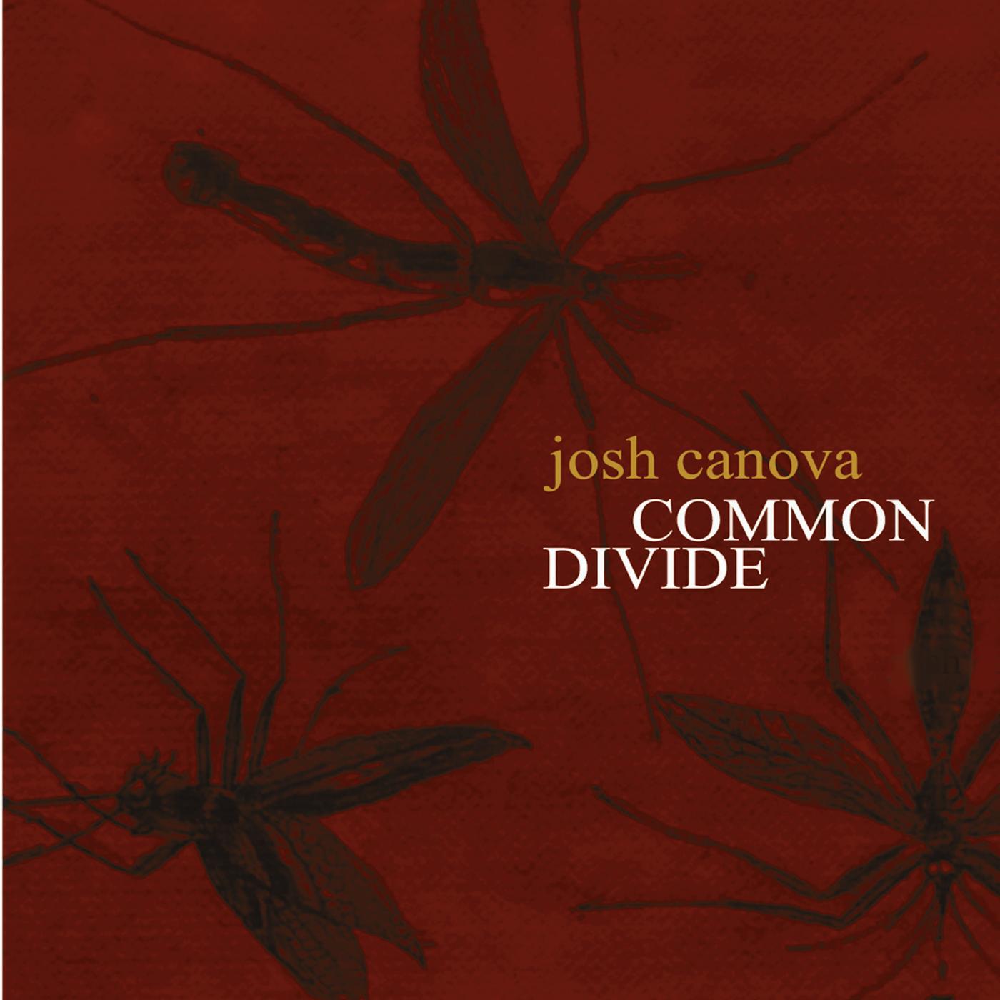 Релиз Common Divide