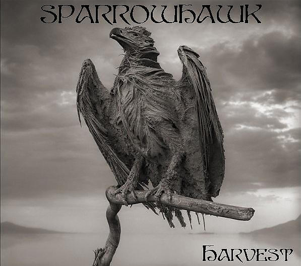 Sparrowhawk