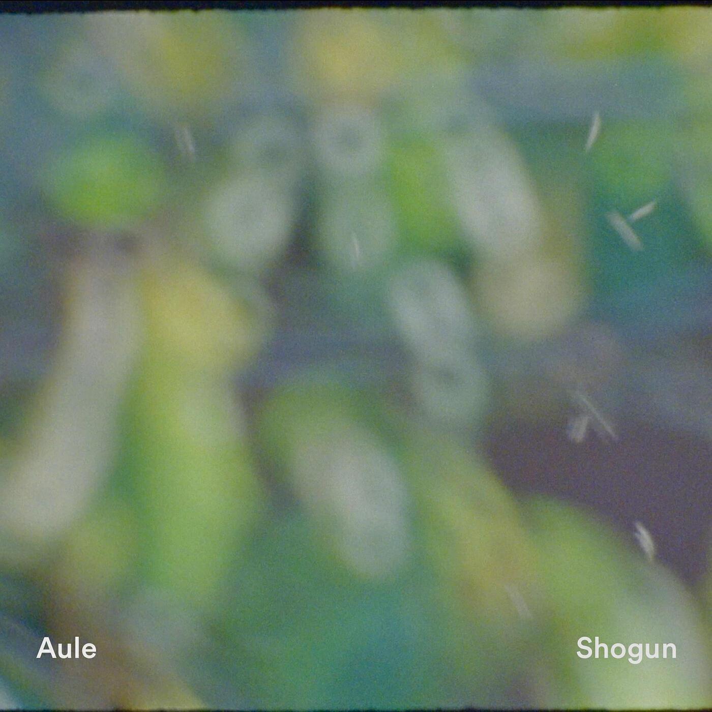 Релиз Shogun