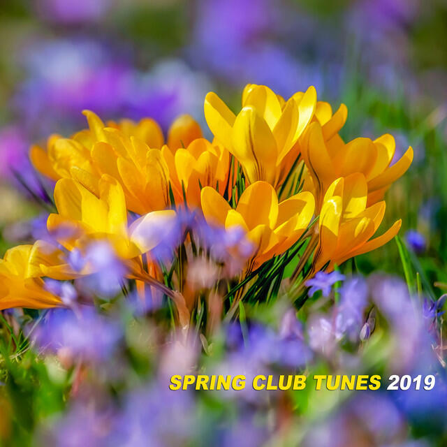 Релиз Spring Club Tunes 2019