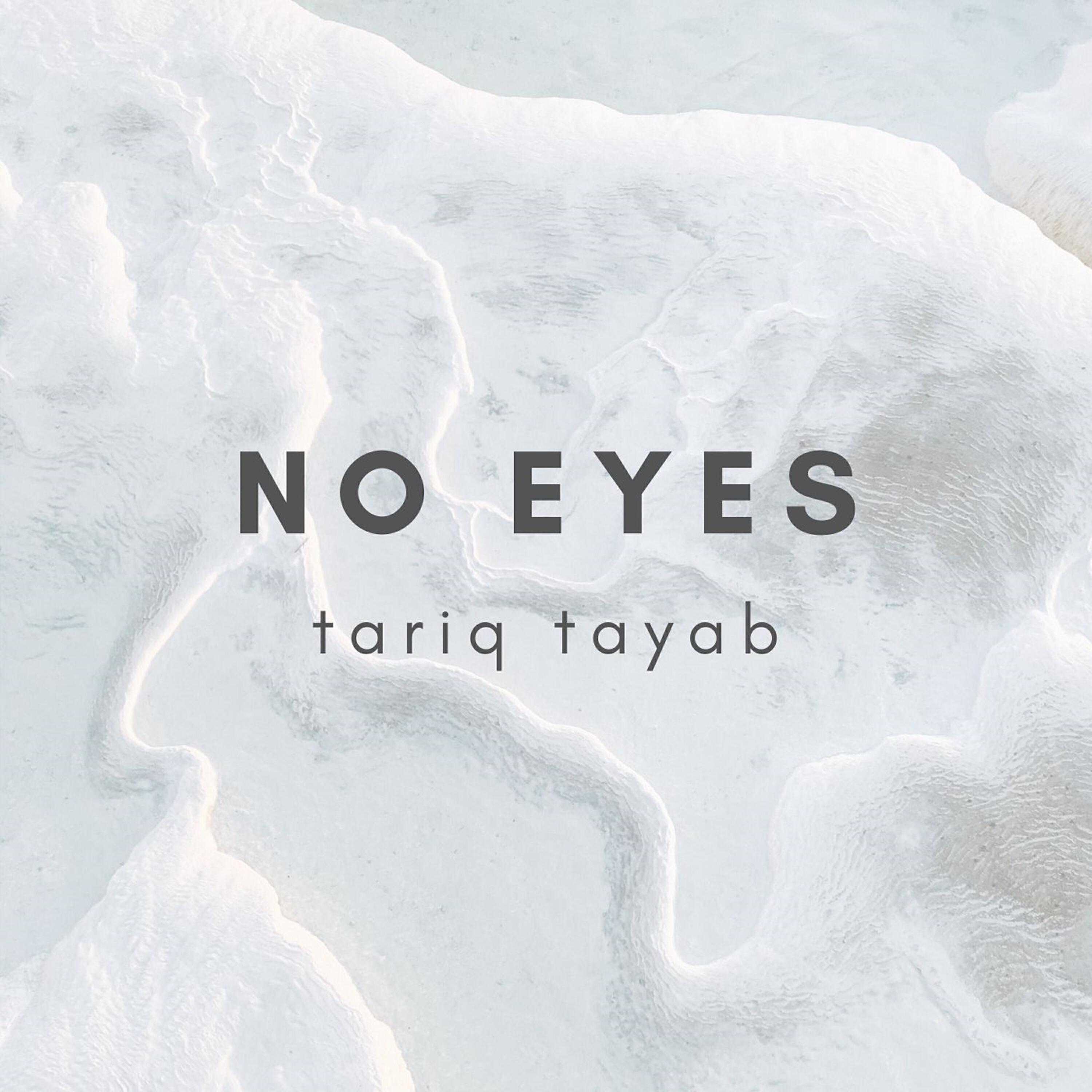 Tariq Tayab