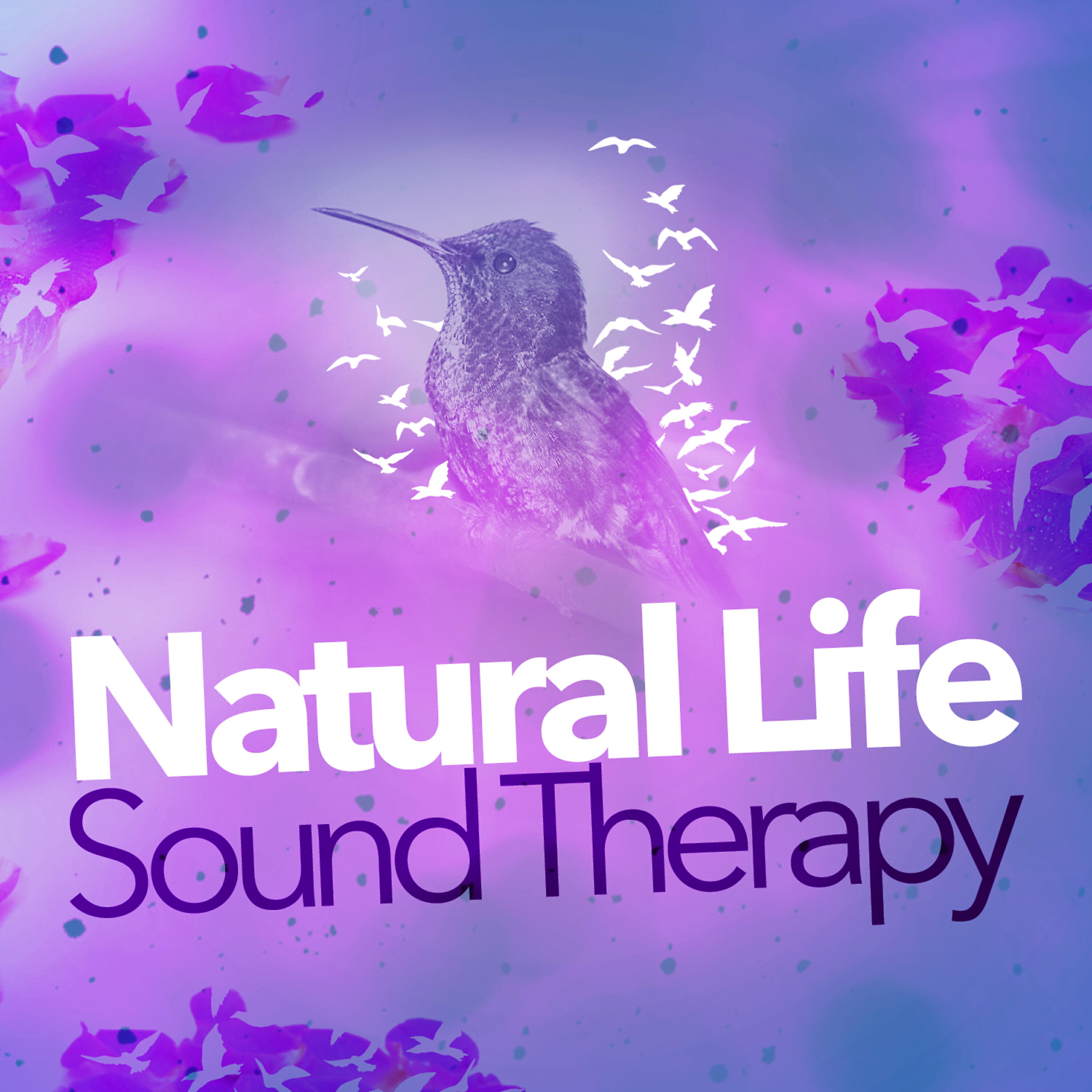 Релиз Natural Life - Sound Therapy