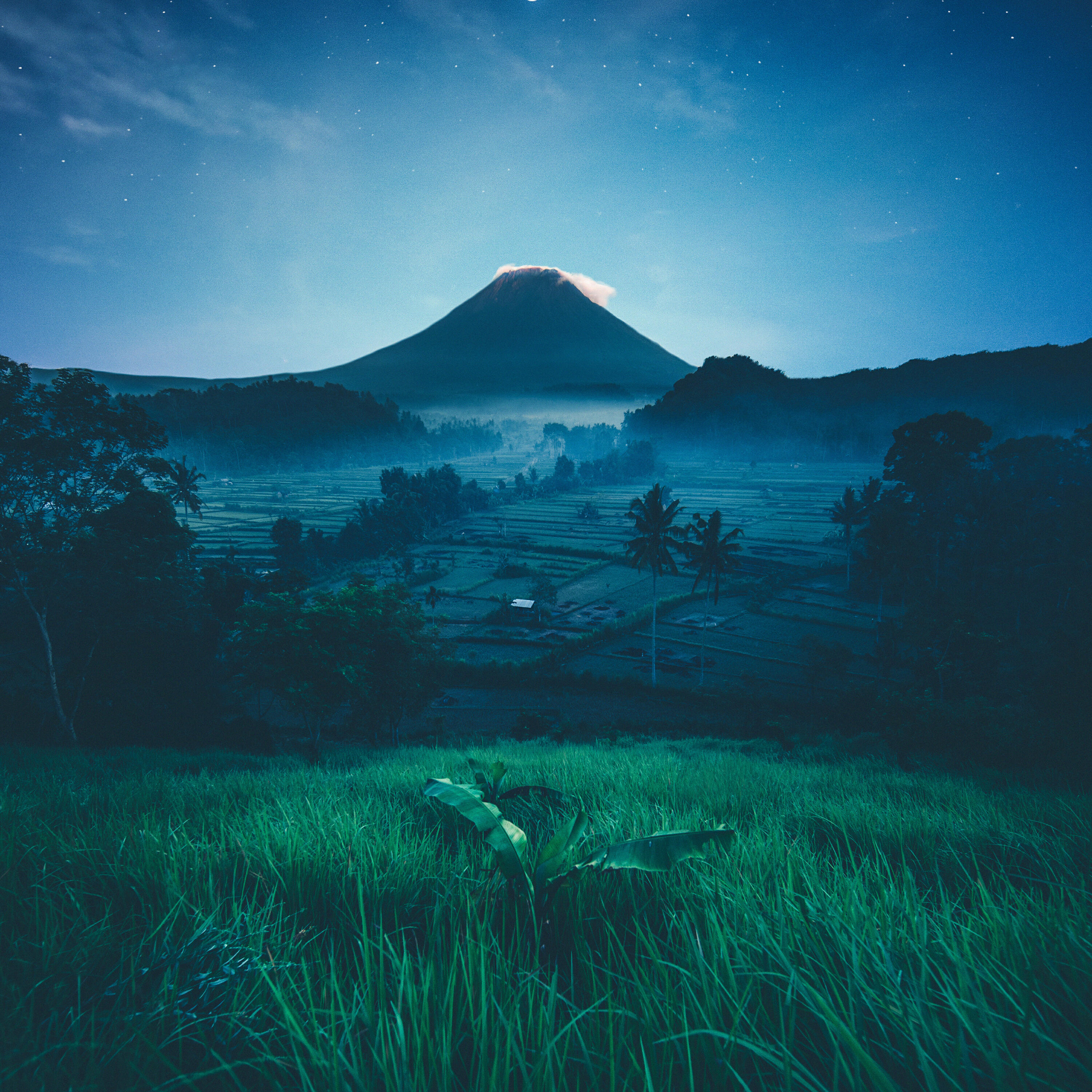 Релиз Chillout Comforting Nature Infused Melodies