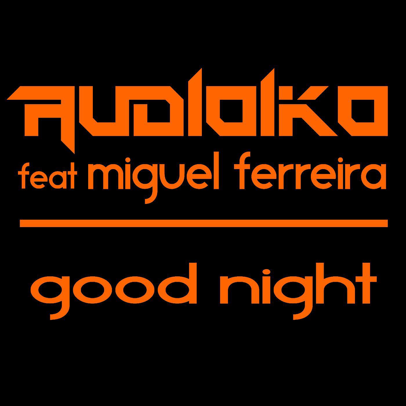 Релиз Good Night (feat. Miguel Ferreira)
