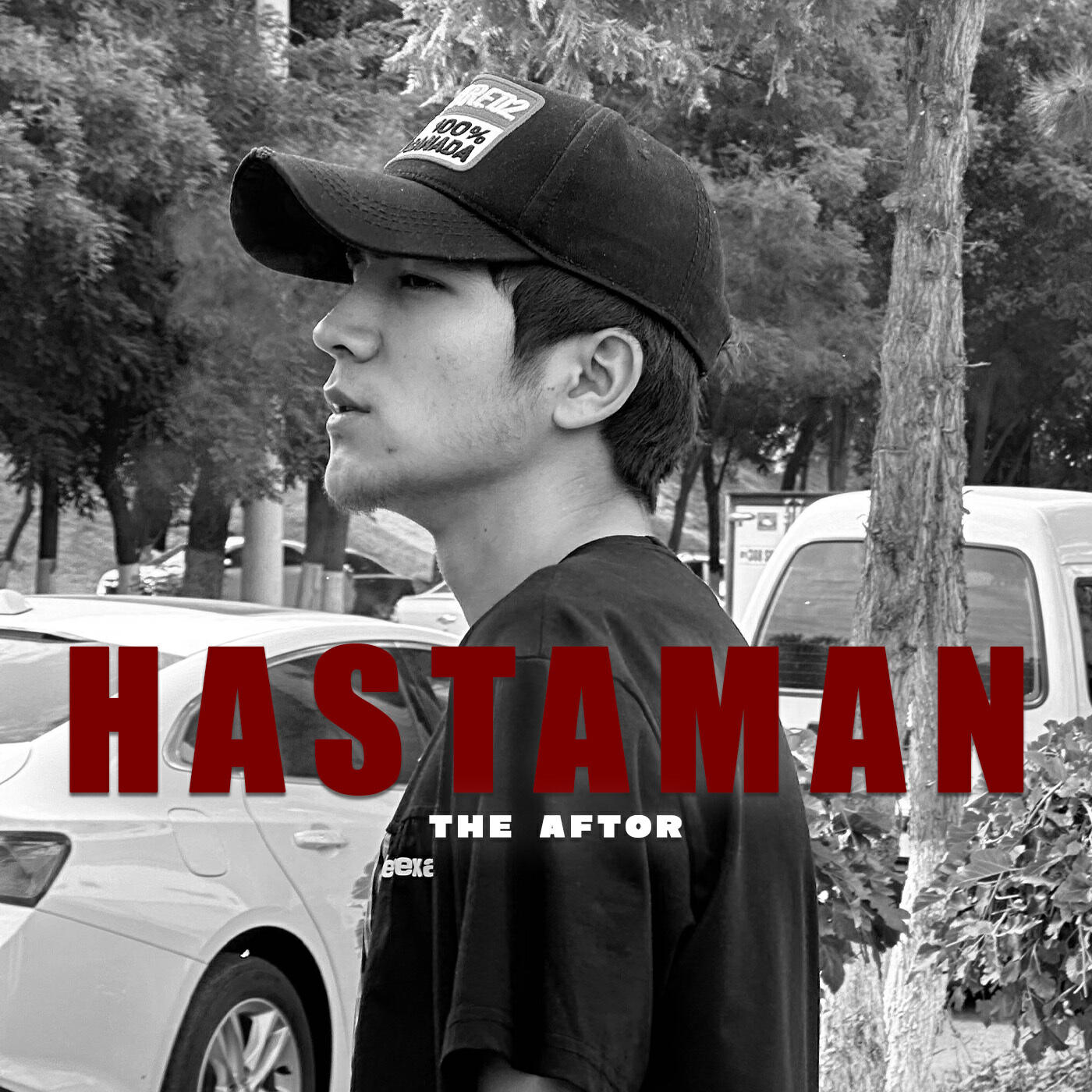 Постер альбома Hastaman