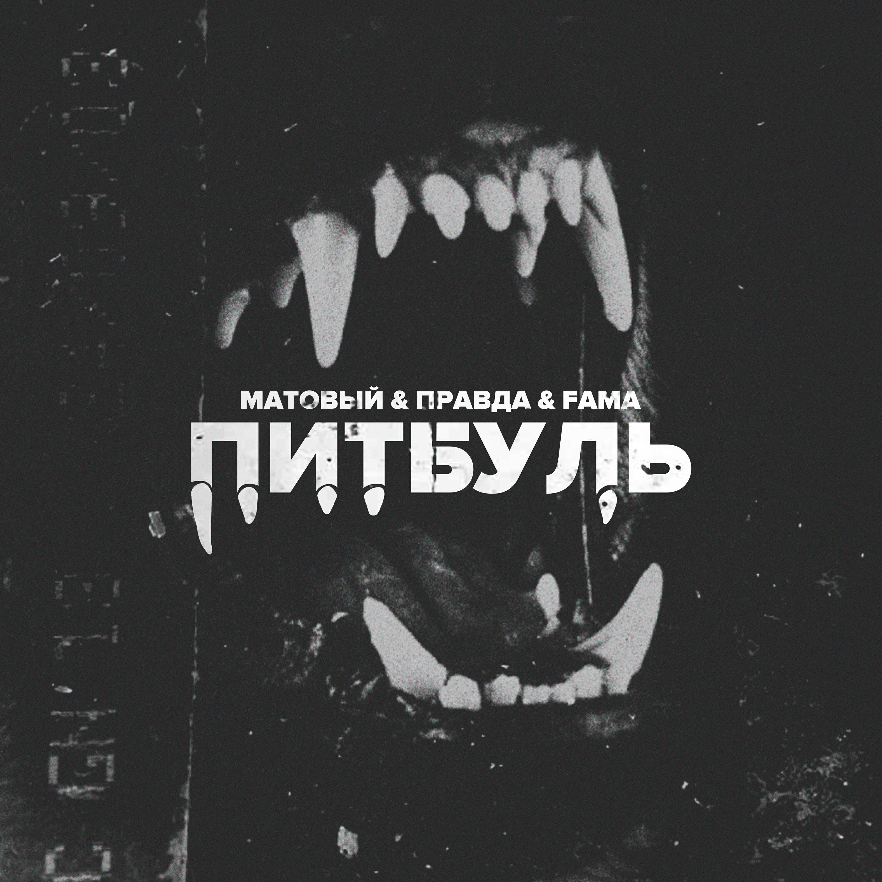 Релиз Питбуль
