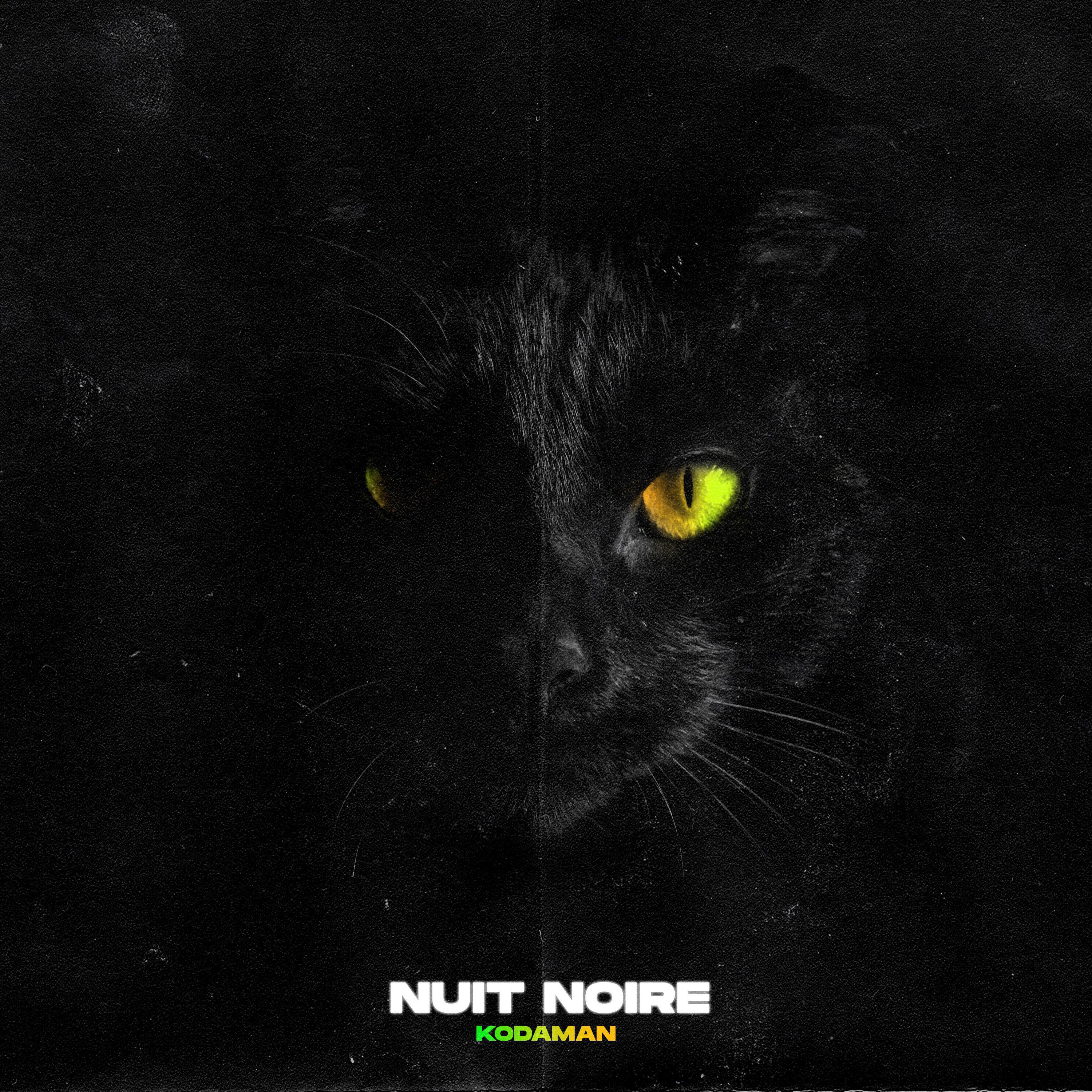Релиз Nuit noire