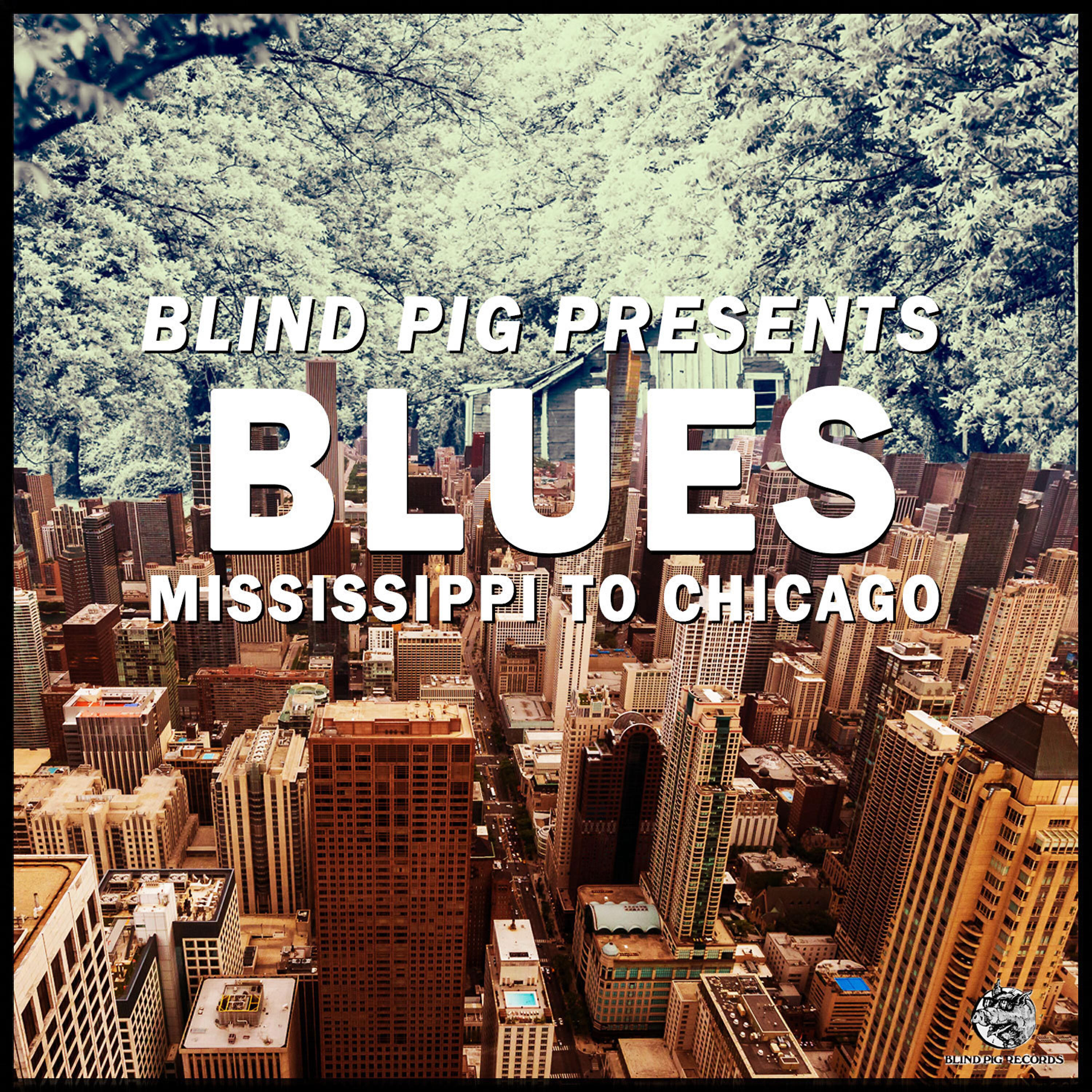 Релиз Blind Pig Presents: Mississippi to Chicago Blues