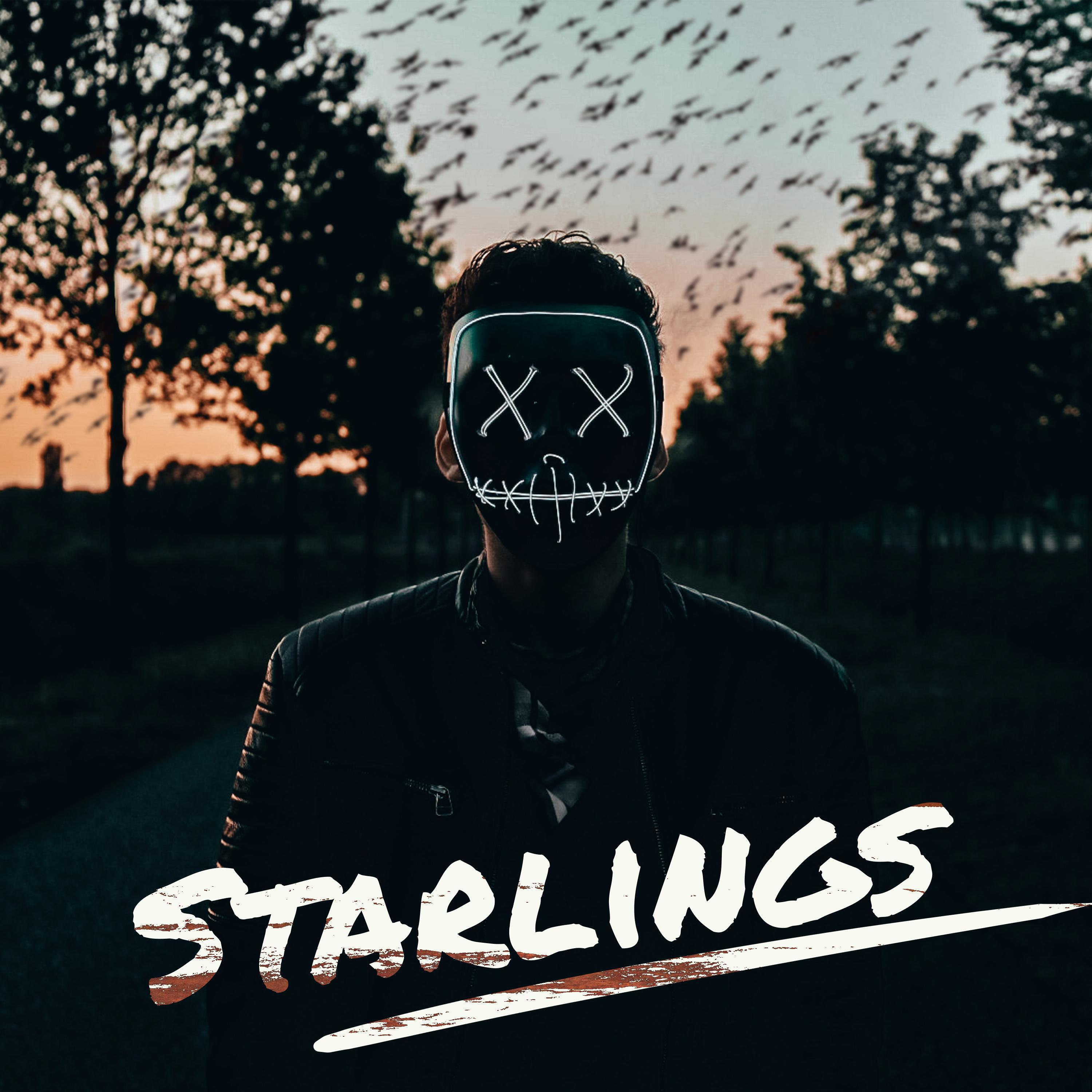 Релиз Starlings