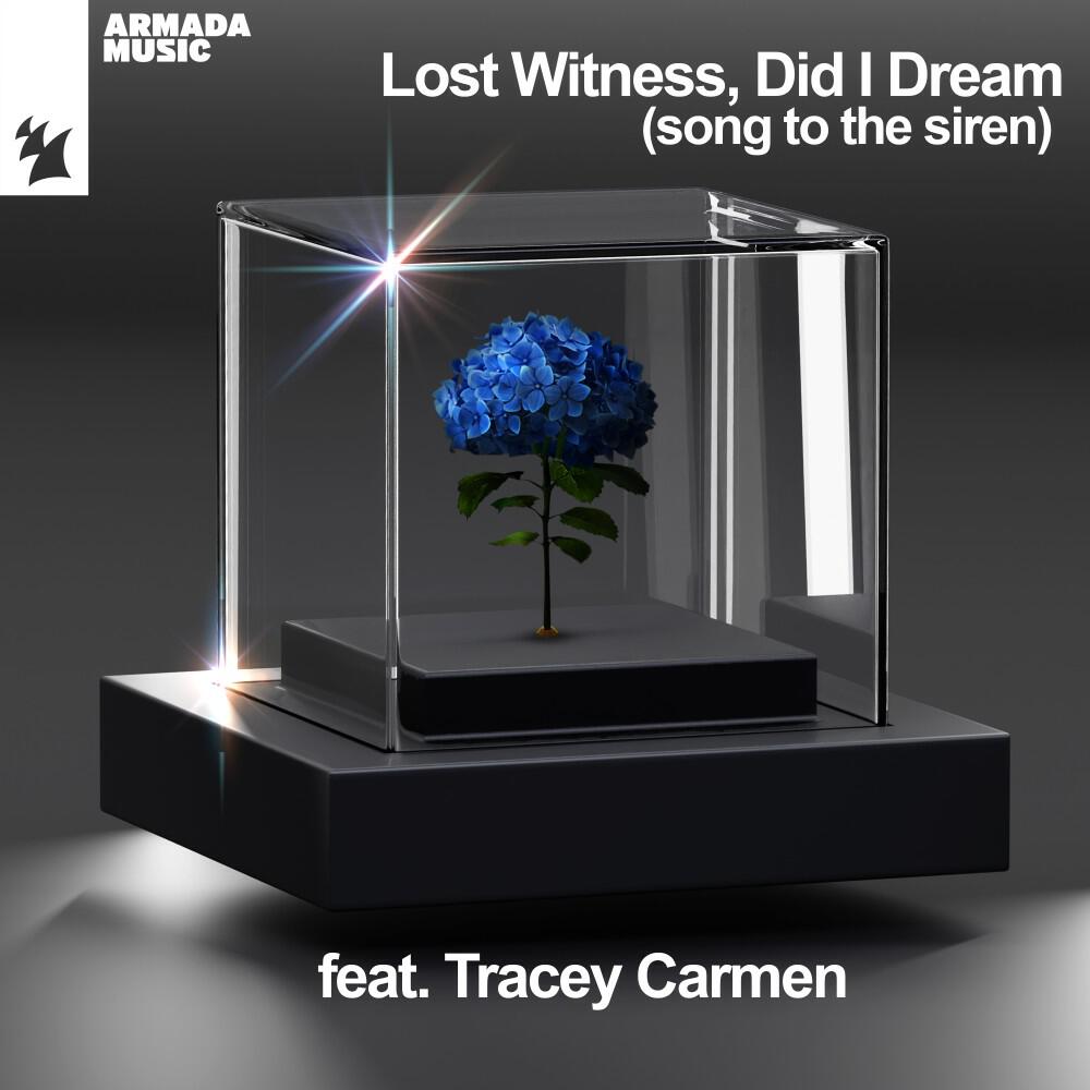 Релиз Did I Dream (Song to the Siren)