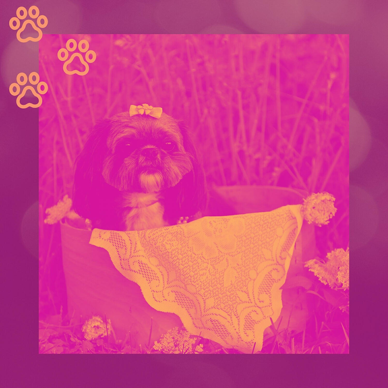 Релиз Echoes of Doggy Naptime