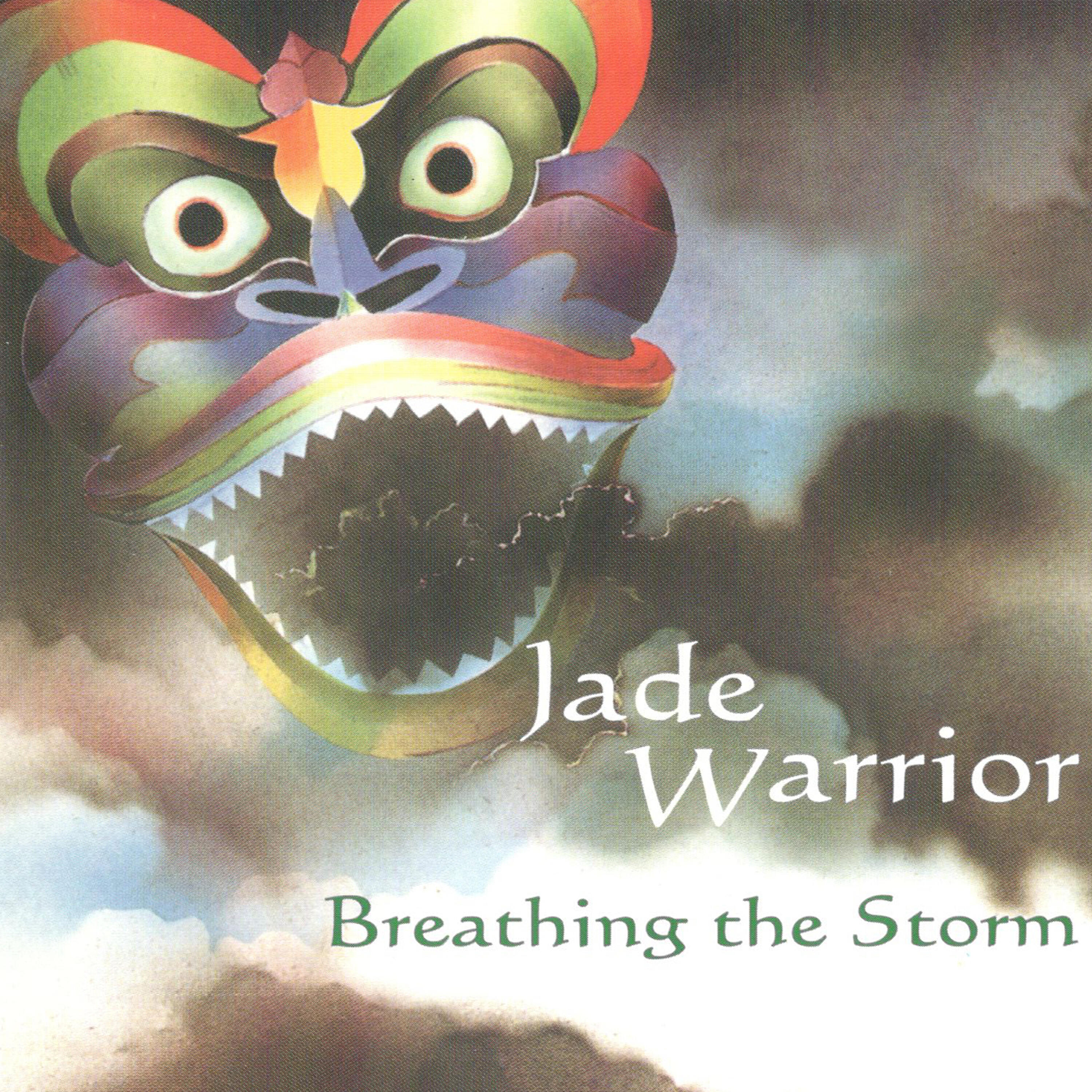 Релиз Breathing The Storm