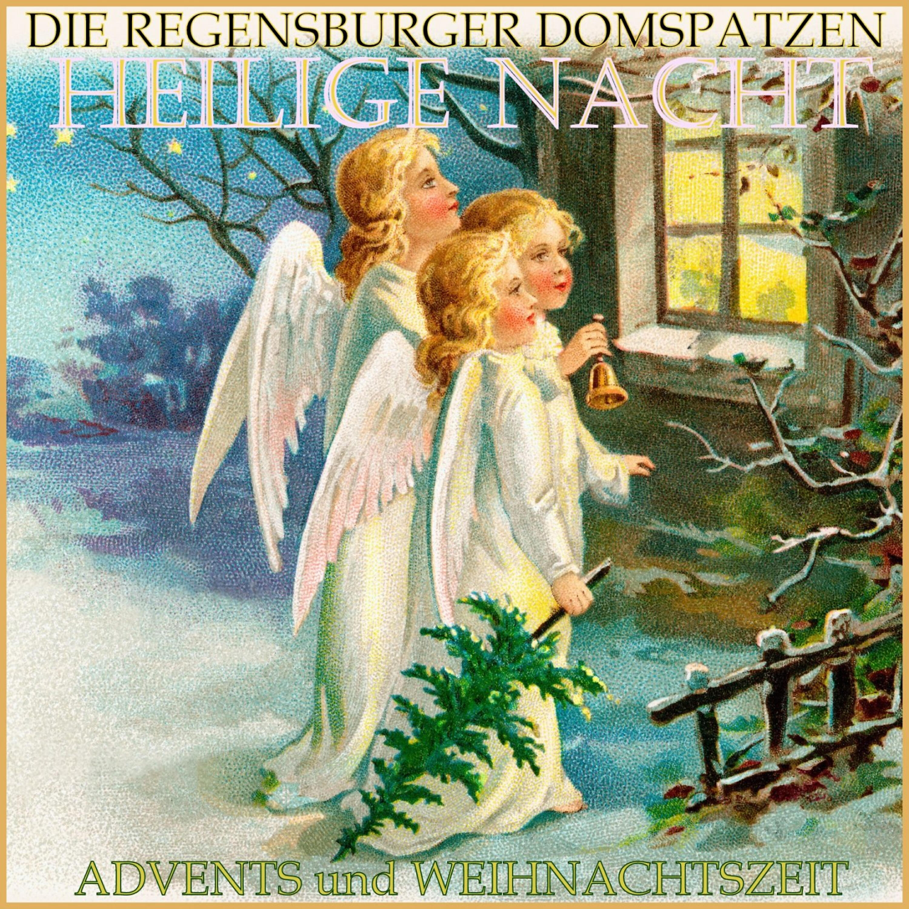 Die Regenburger Domspatzen