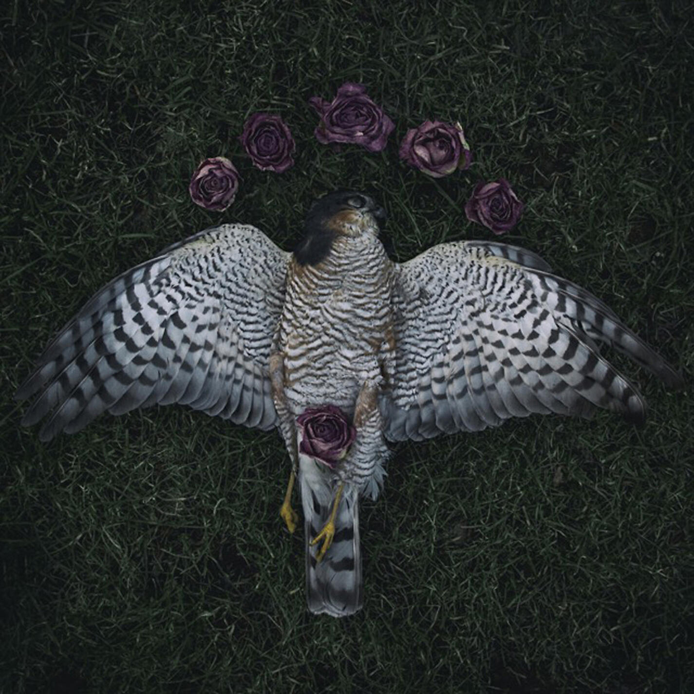 Релиз Ydintalvi - EP