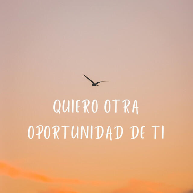 Релиз Quiero Otra Oportunidad De Ti
