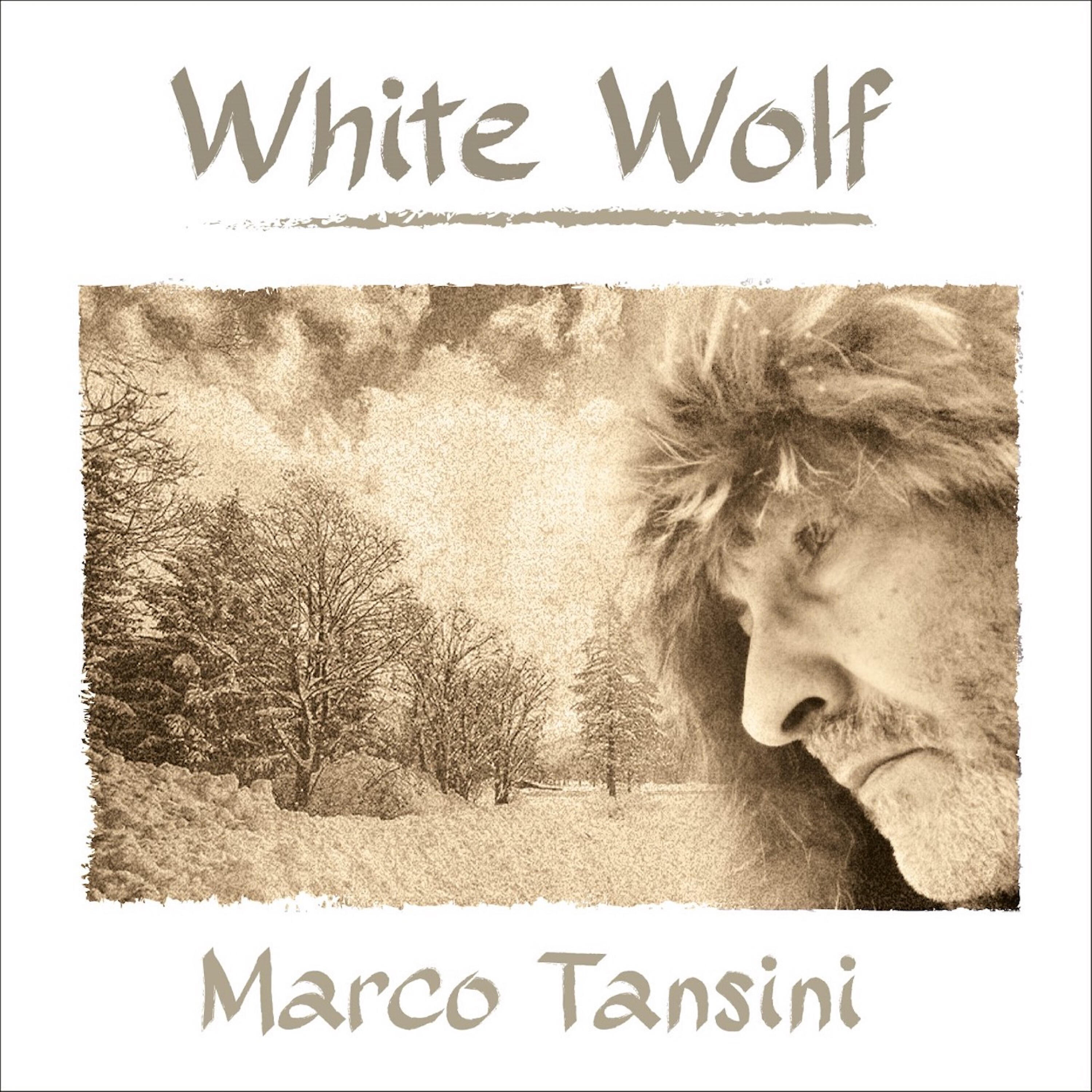 Релиз White Wolf