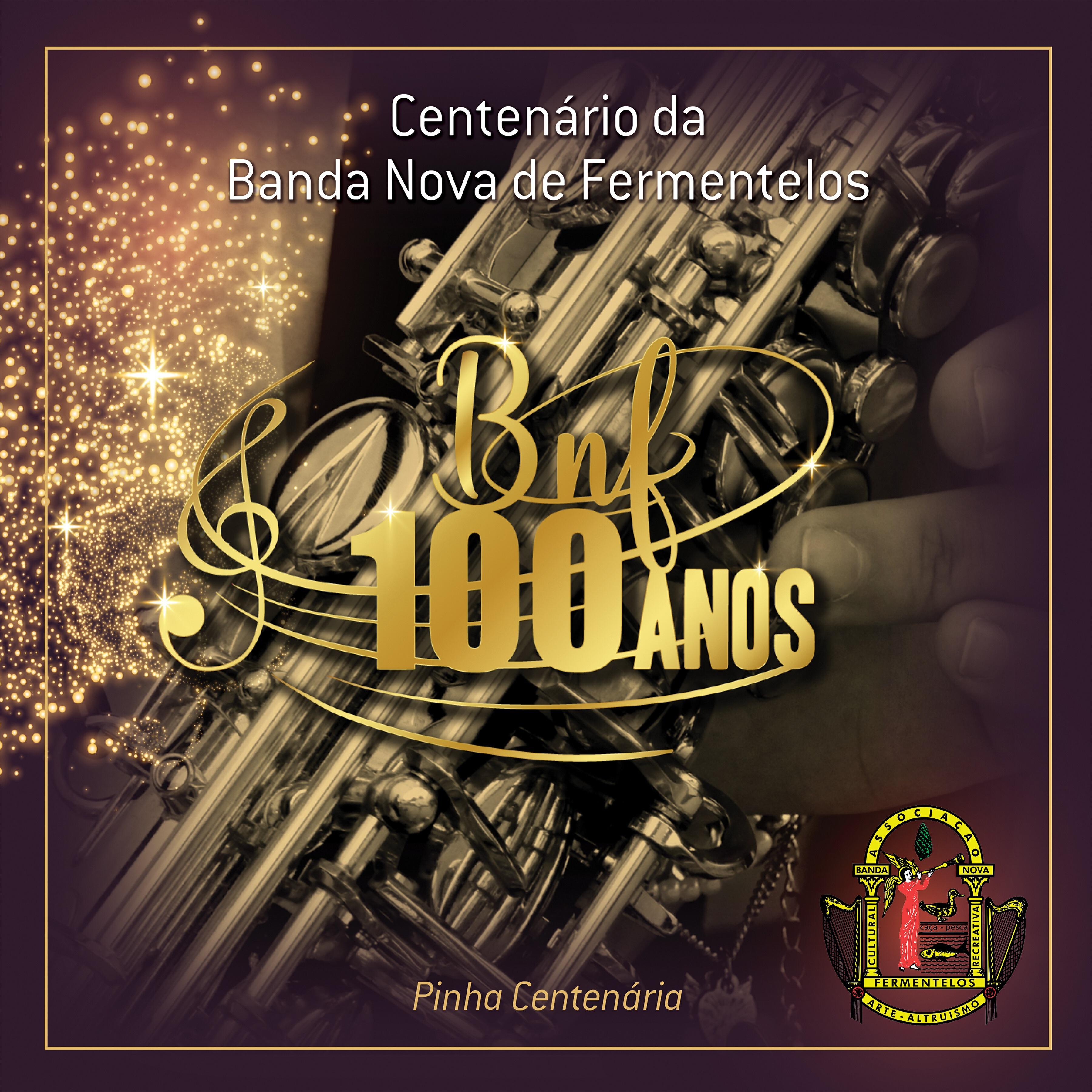 Banda Nova de Fermentelos