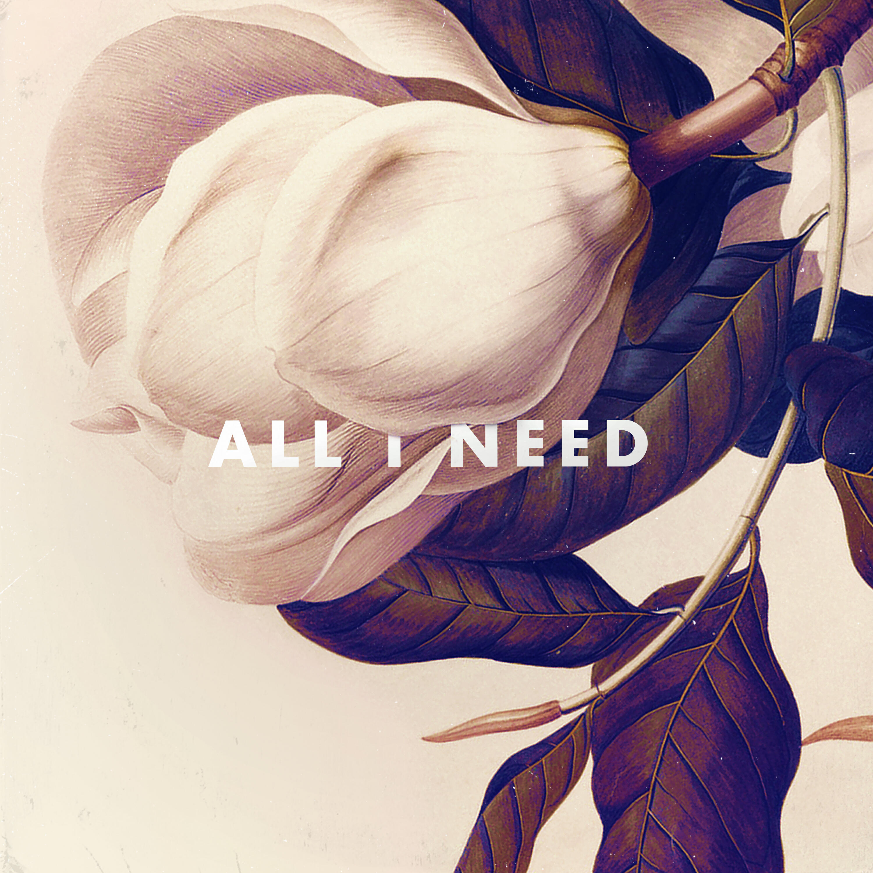 Релиз All I Need
