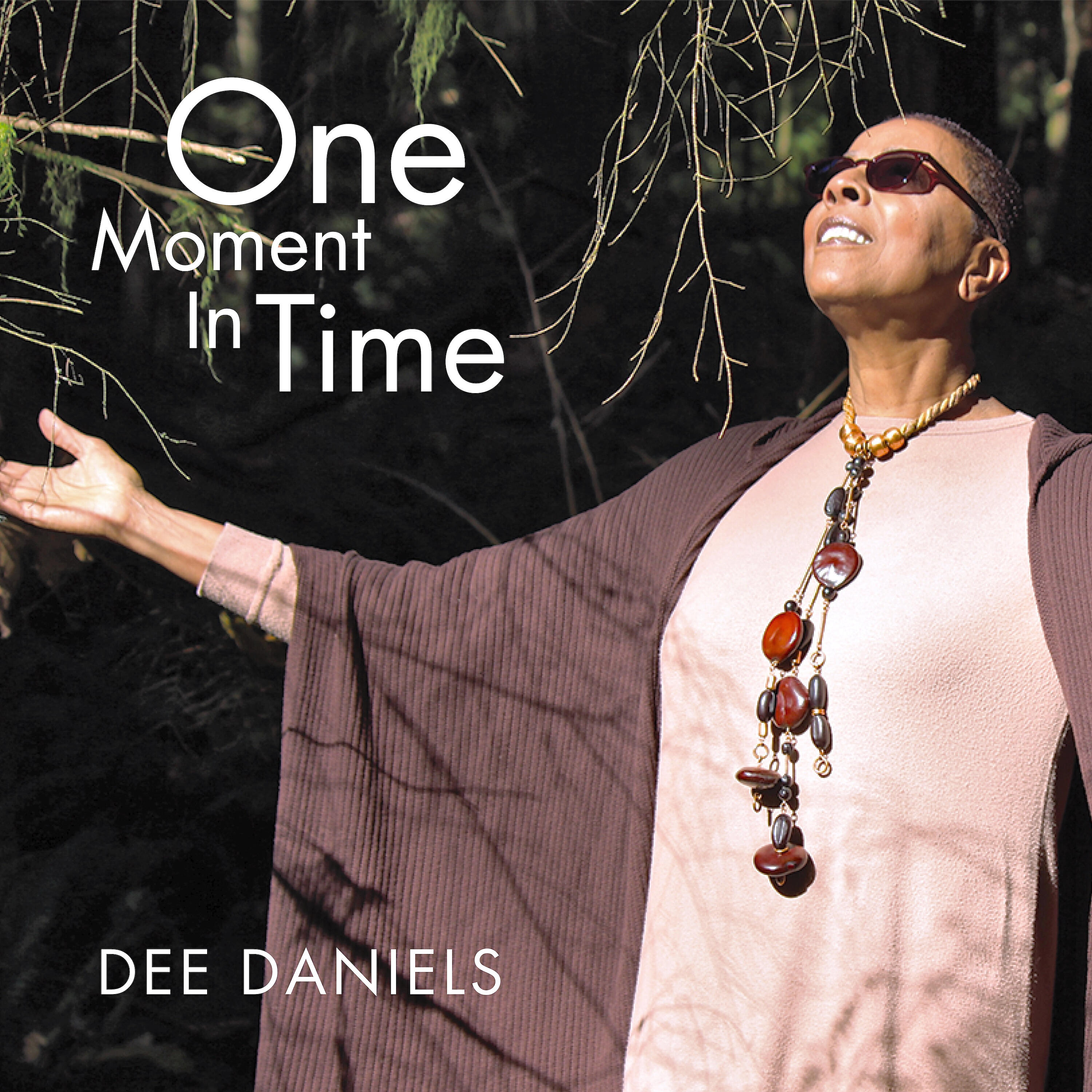 Релиз One Moment in Time (Guitar Version)