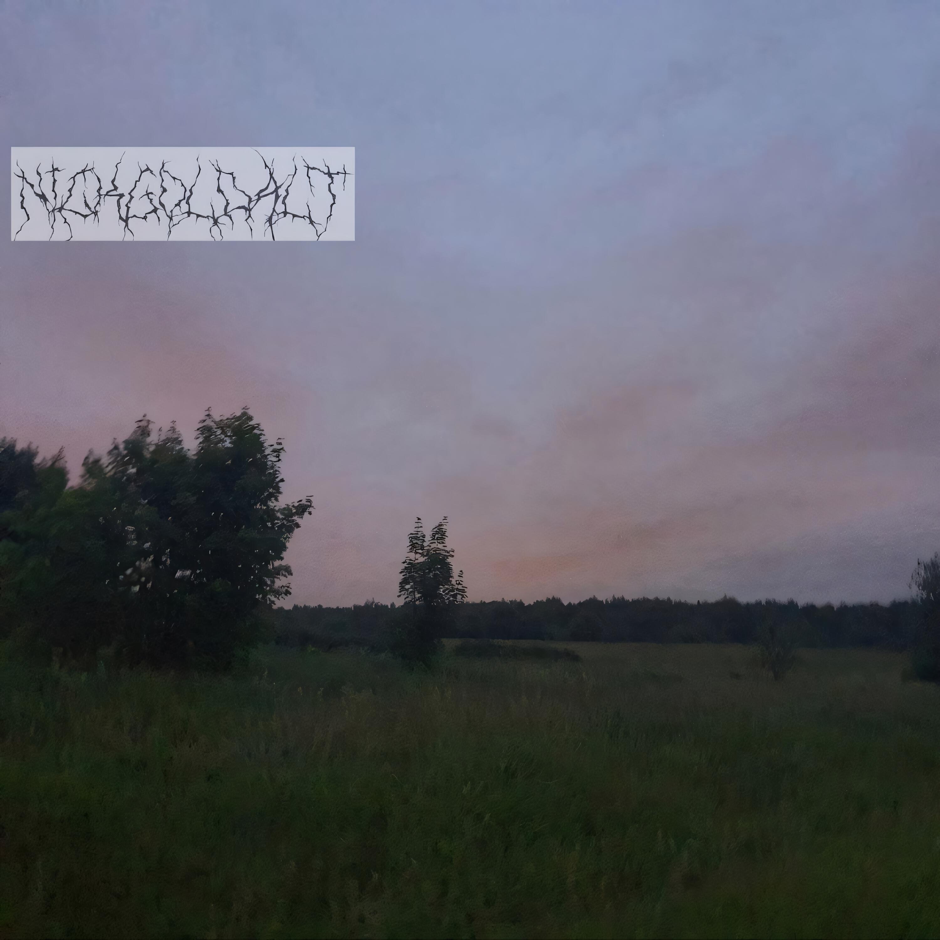 Релиз Нётаймори