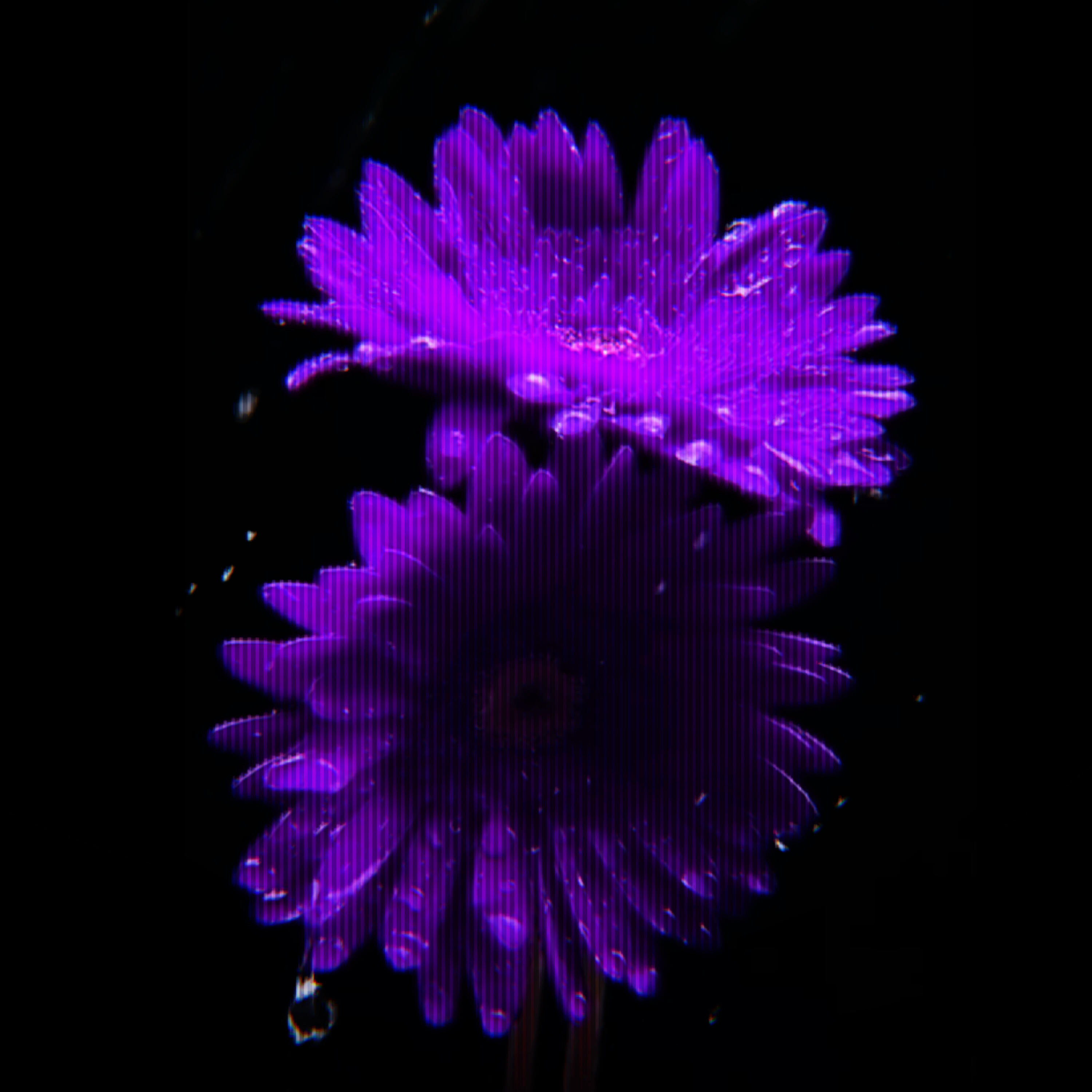 SUMERKI