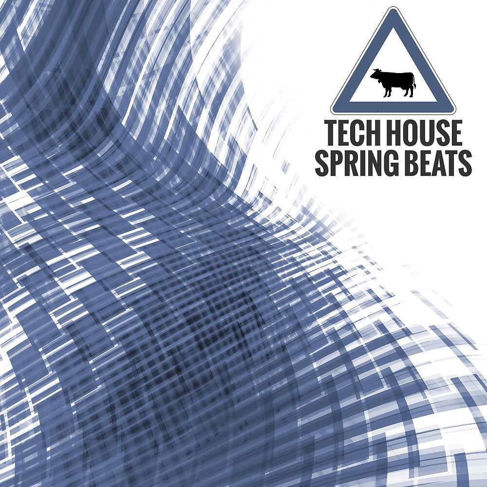 Релиз Techhouse Spring Beats