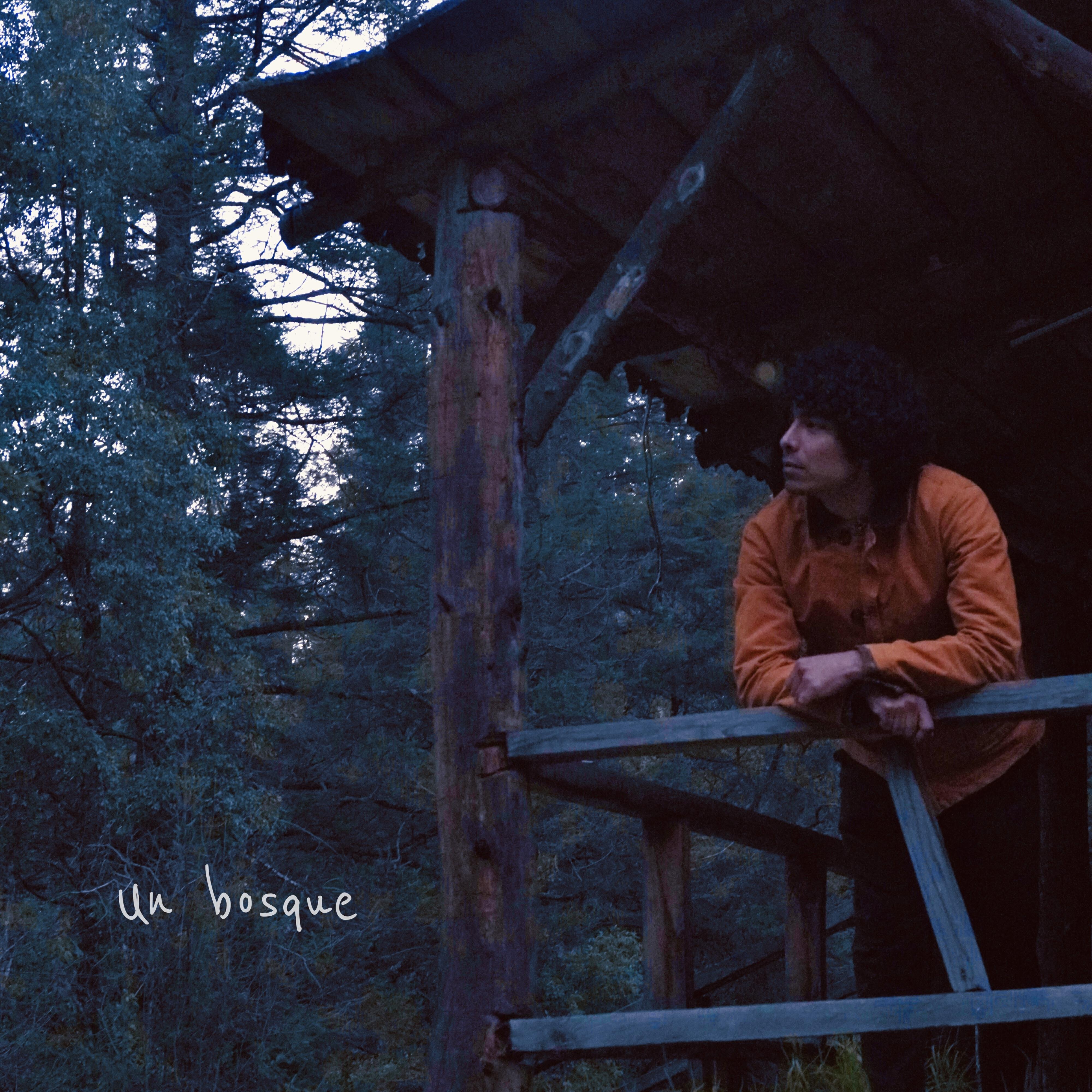 Релиз Un Bosque