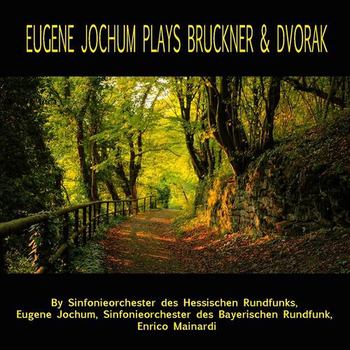 Sinfonieorchester des Bayerischen Rundfunk