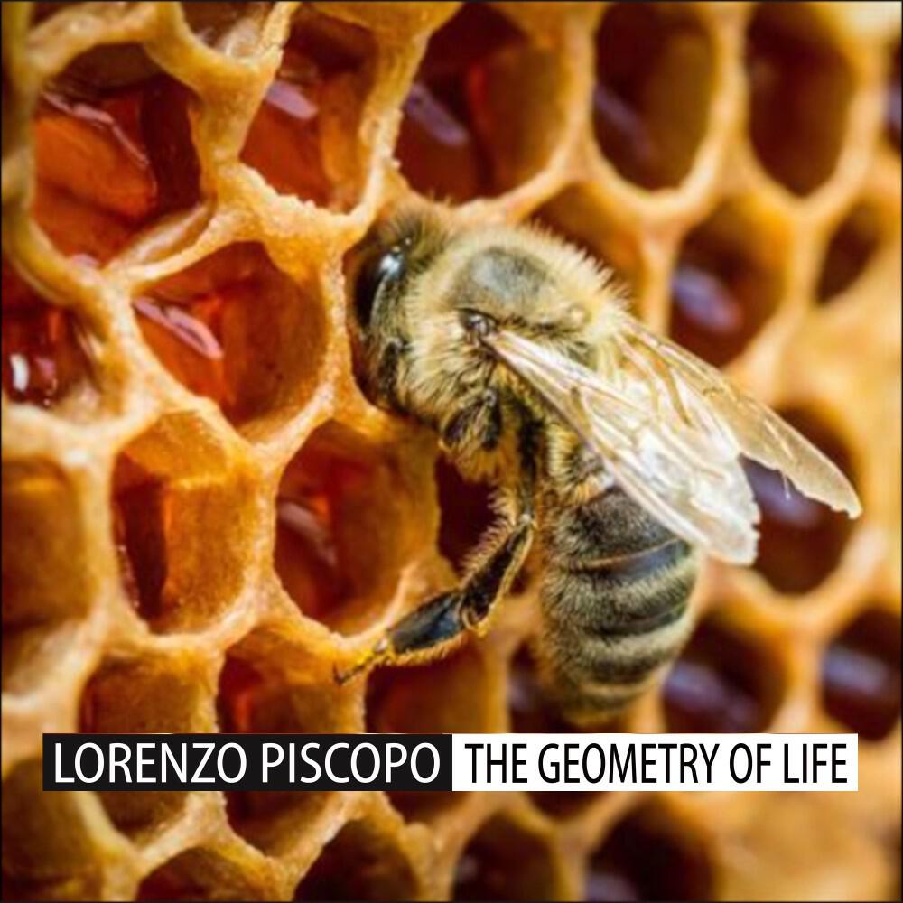 Релиз The Geometry of Life