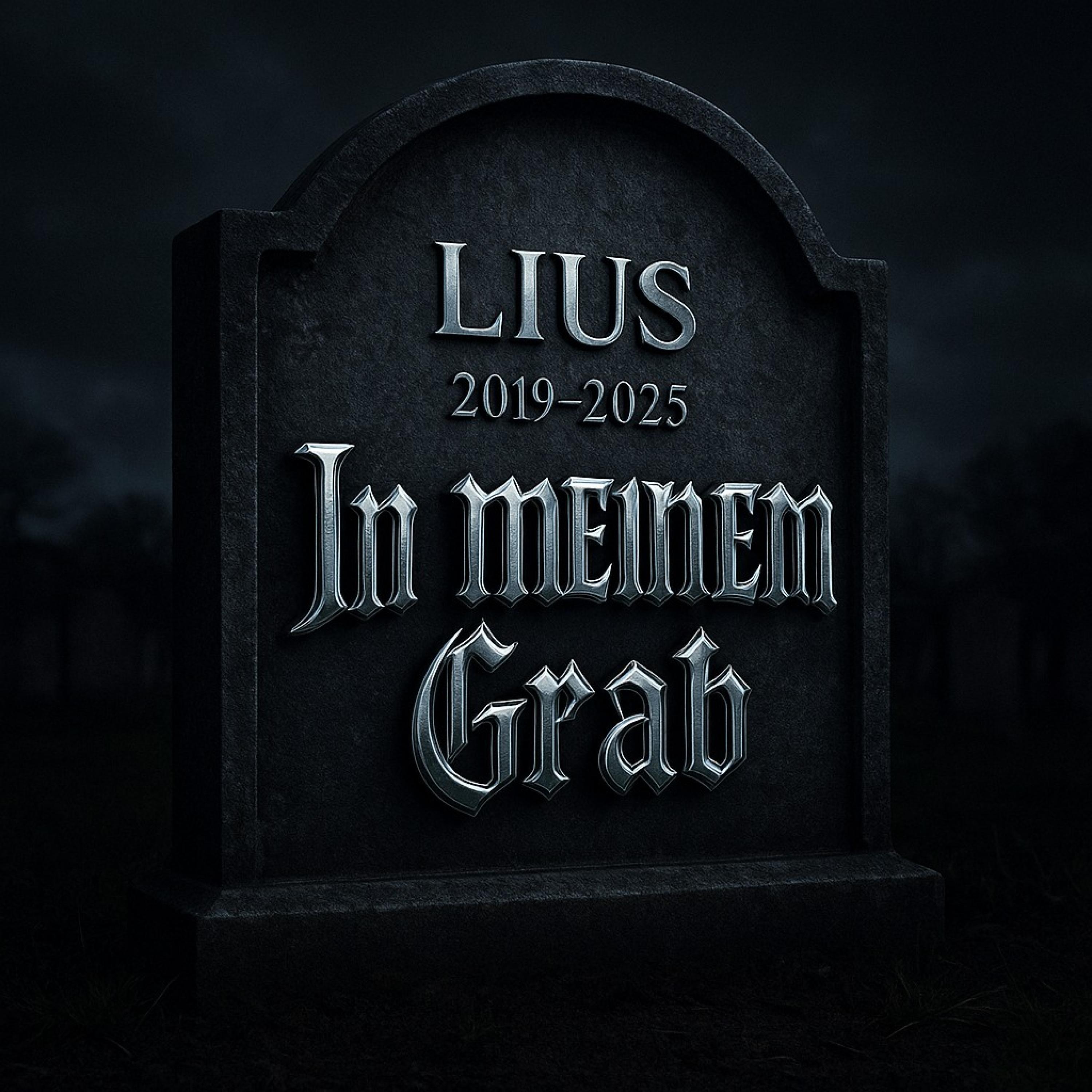 Релиз In meinem Grab