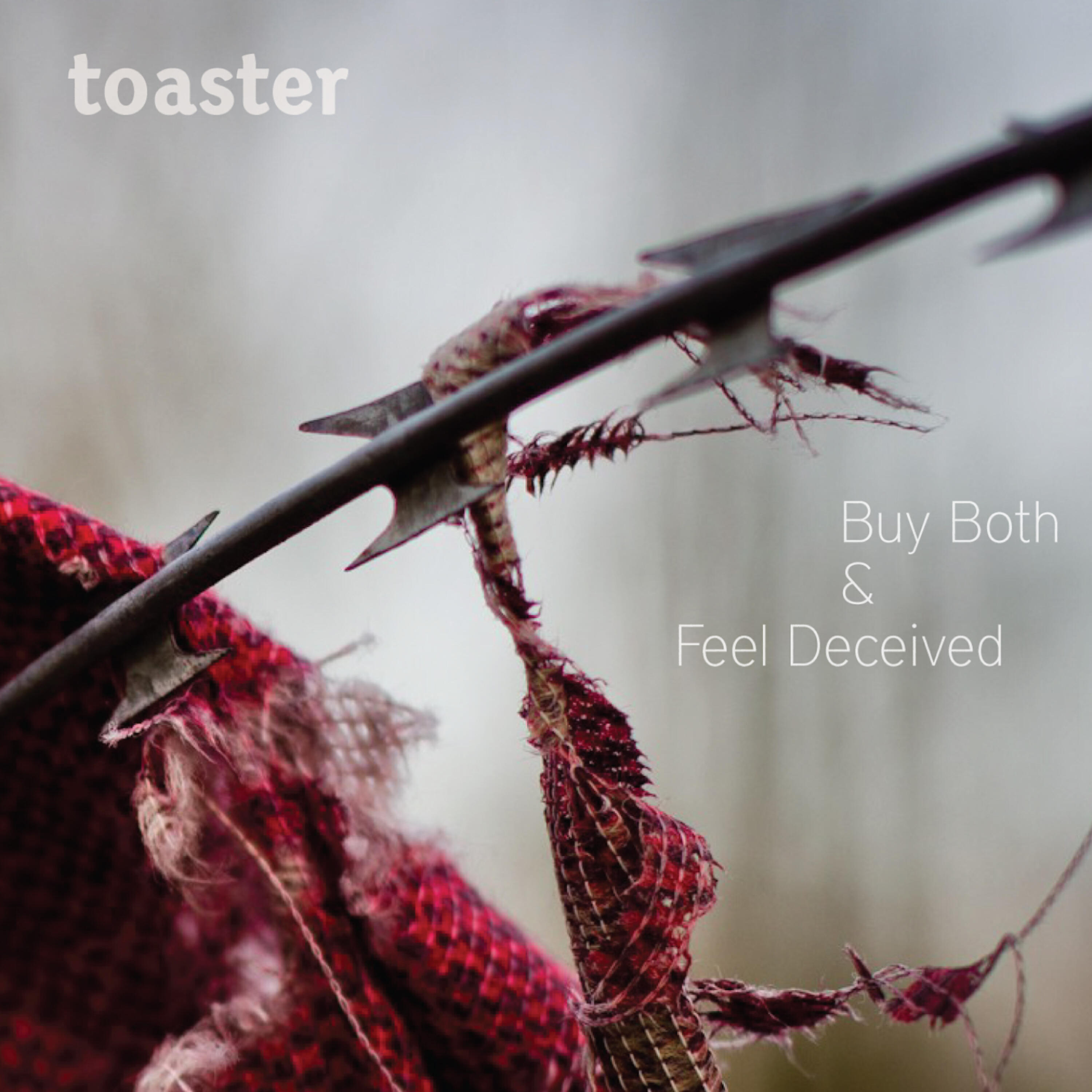 Релиз Buy Both and Feel Deceived