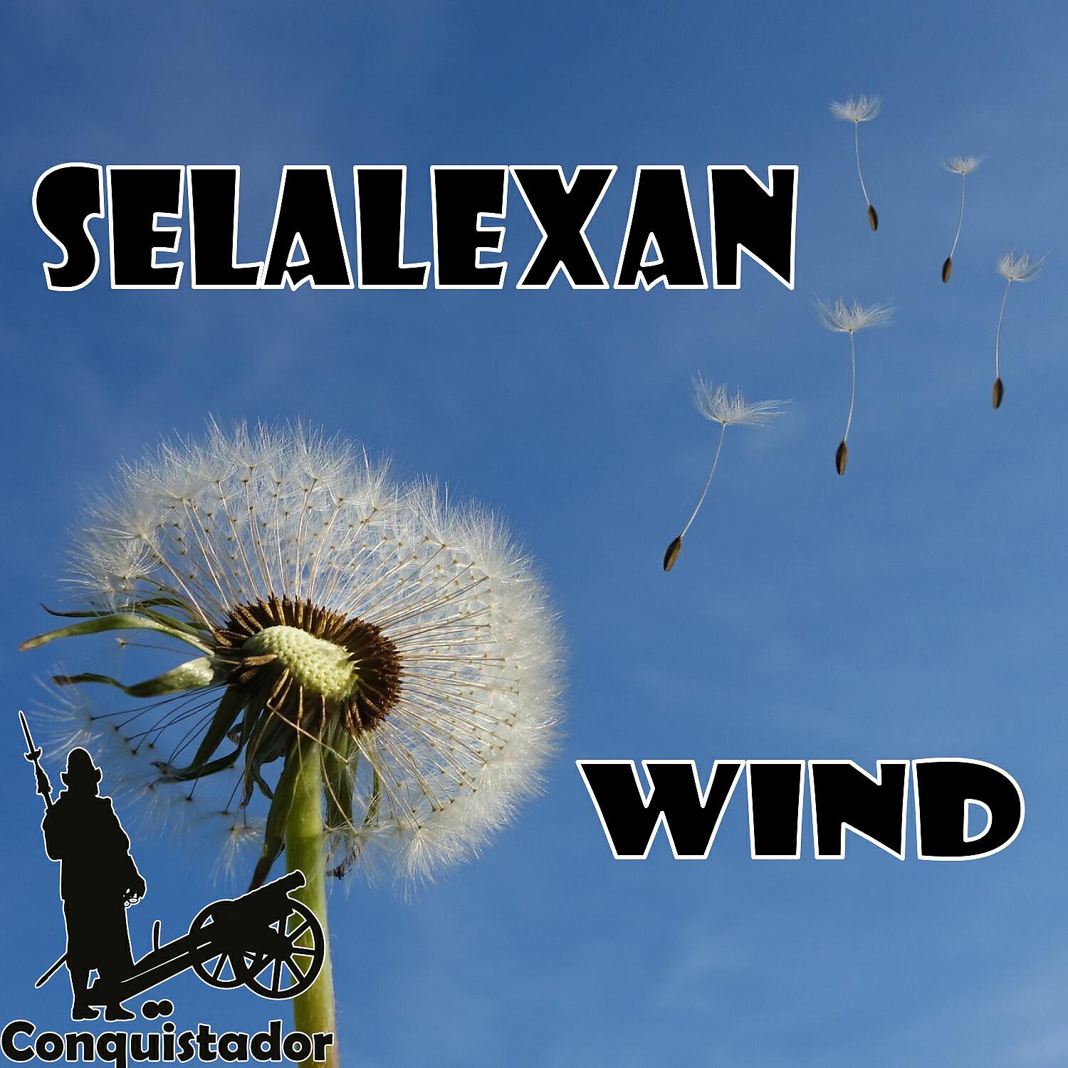 Релиз Wind
