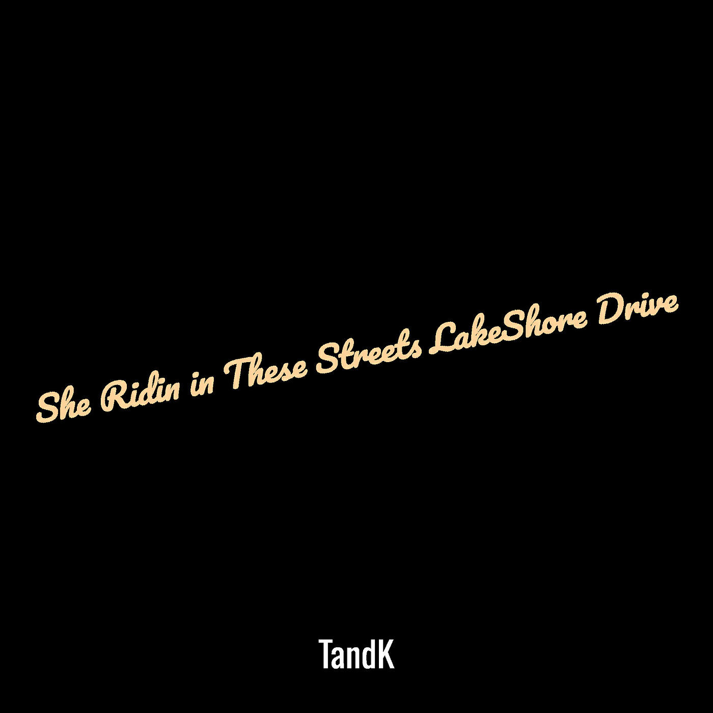 Релиз She Ridin in These Streets LakeShore Drive