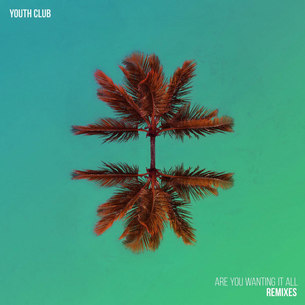 Релиз Are You Wanting It All (Remixes)