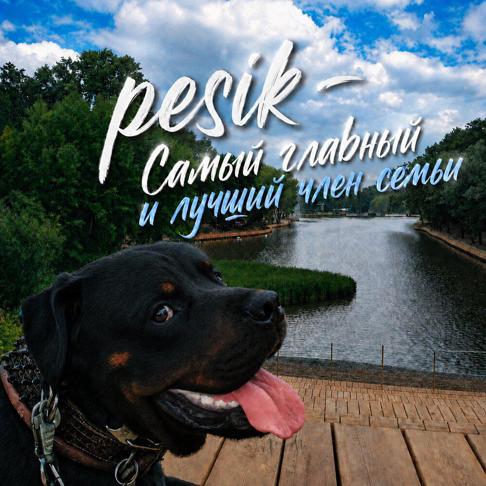 Релиз Самый главный и лучший член семьи