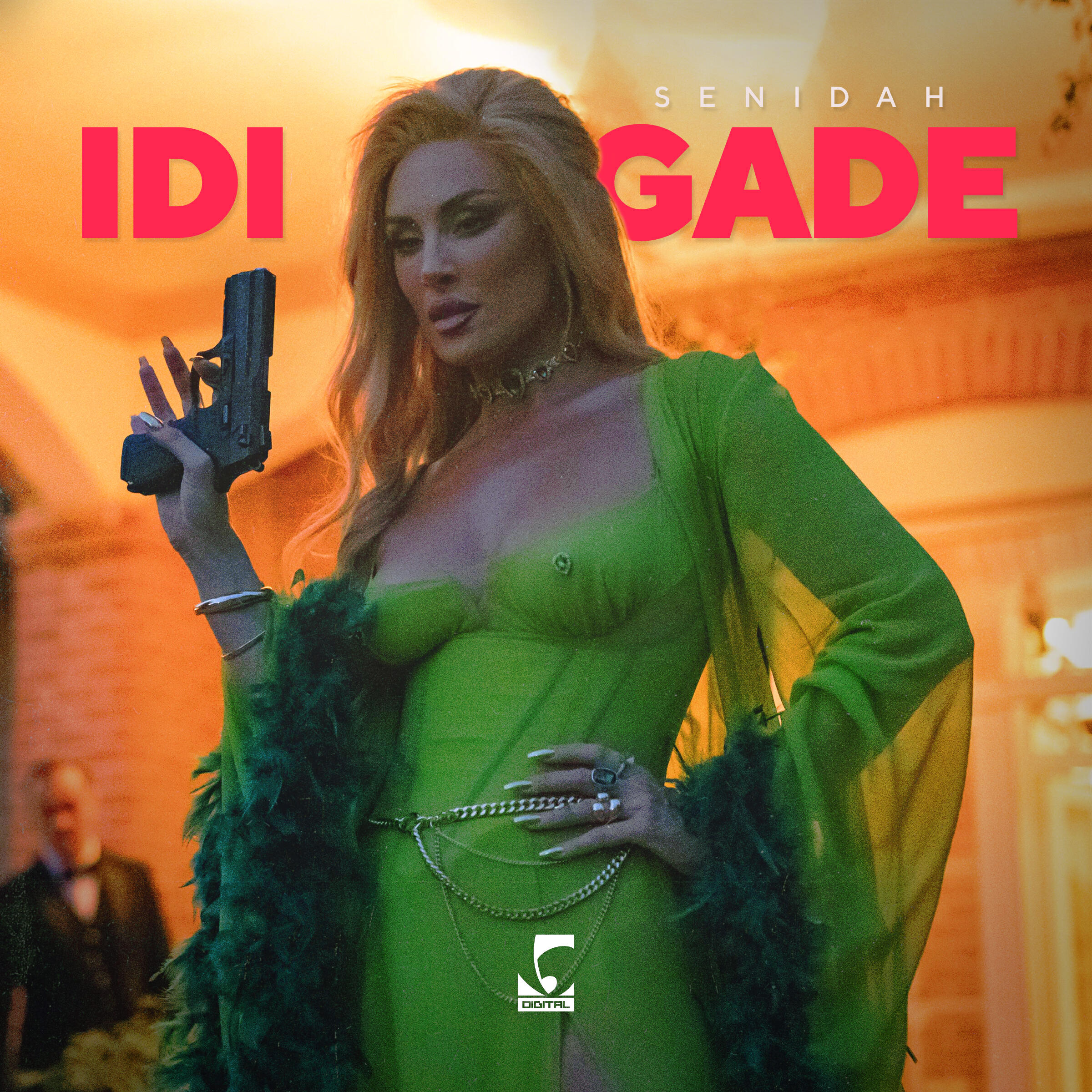 Релиз Idi Gade