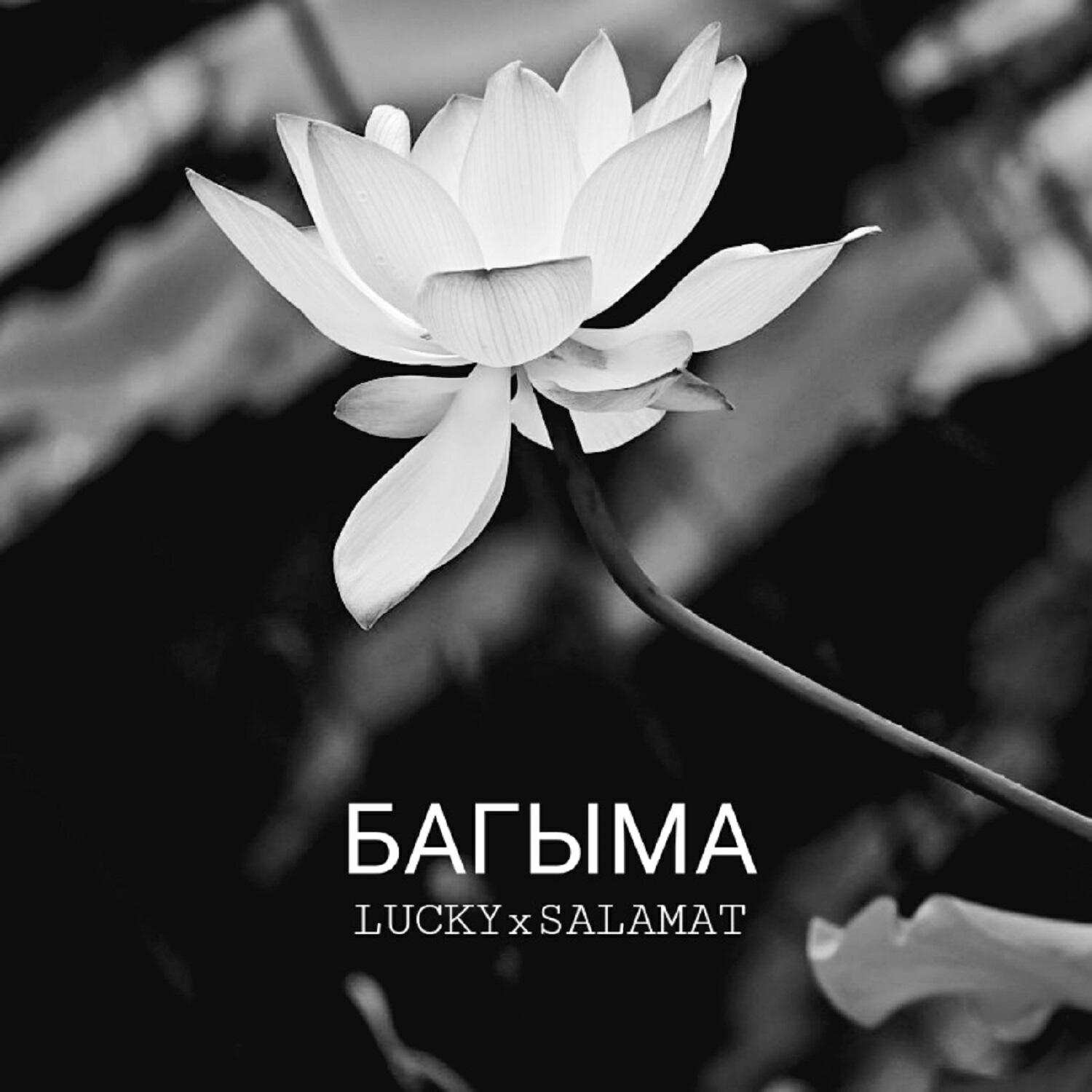 Релиз Багыма