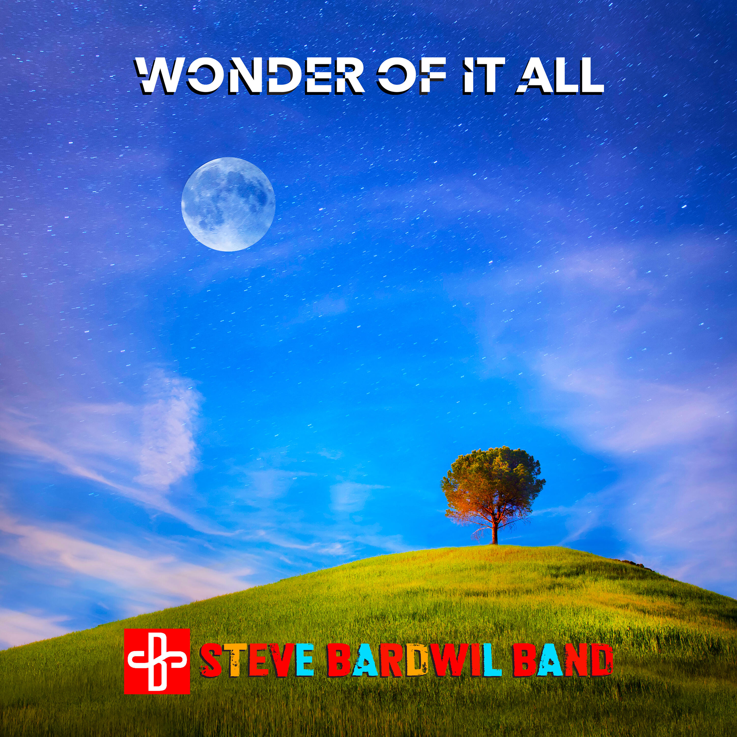 Релиз Wonder of it All