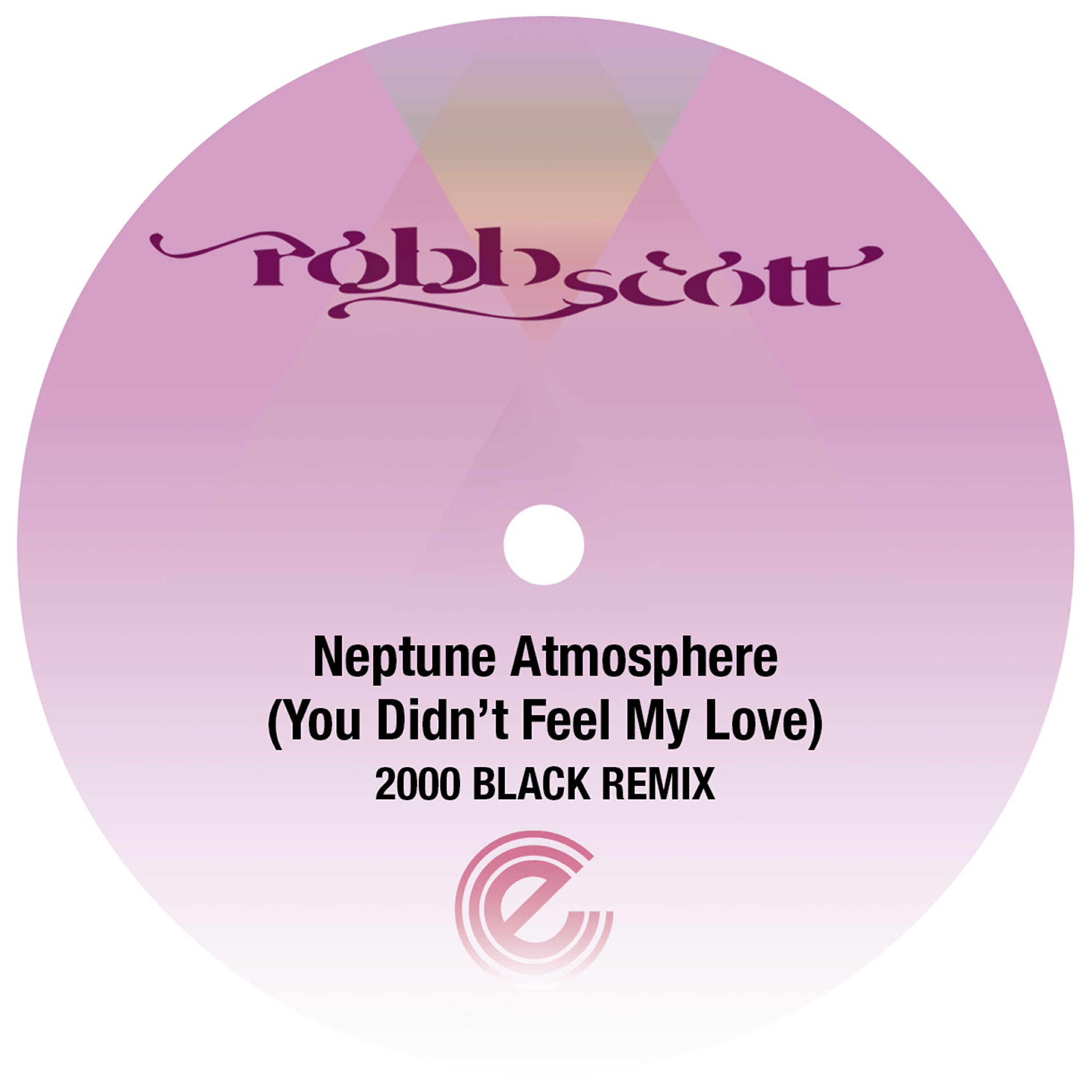 Релиз Neptune Atmosphere (You Didn't Feel My Love)