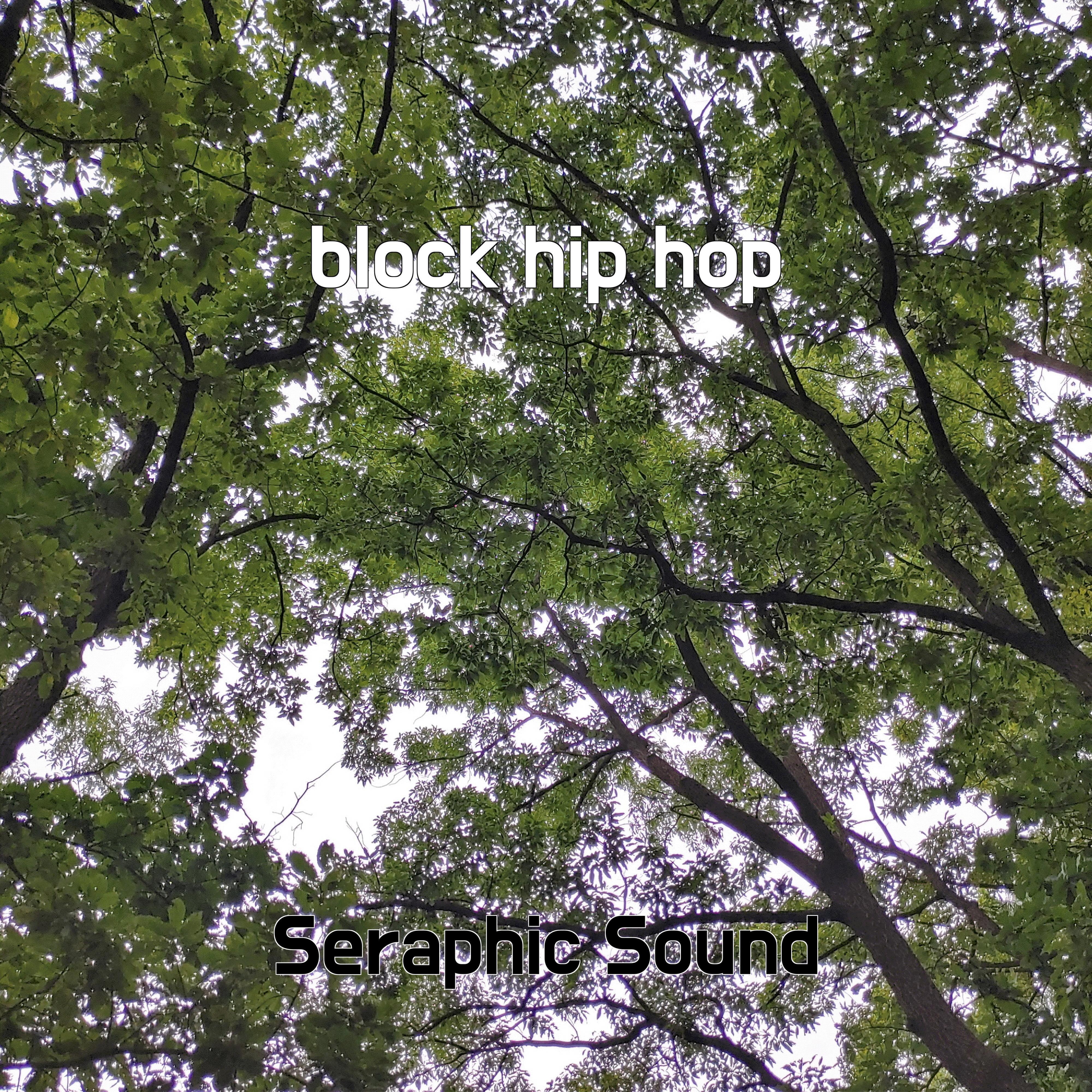 Релиз block hip hop