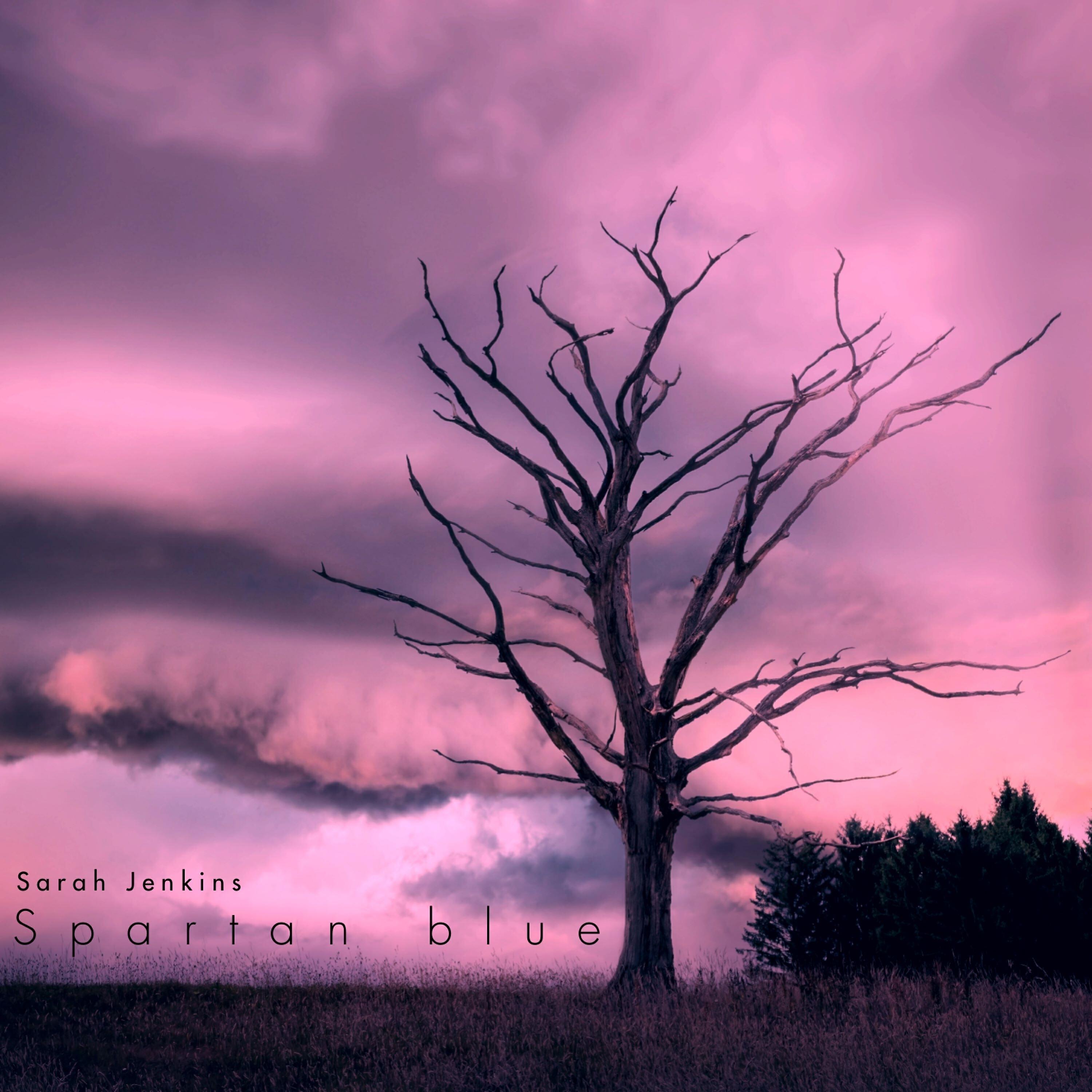 Sarah Jenkins