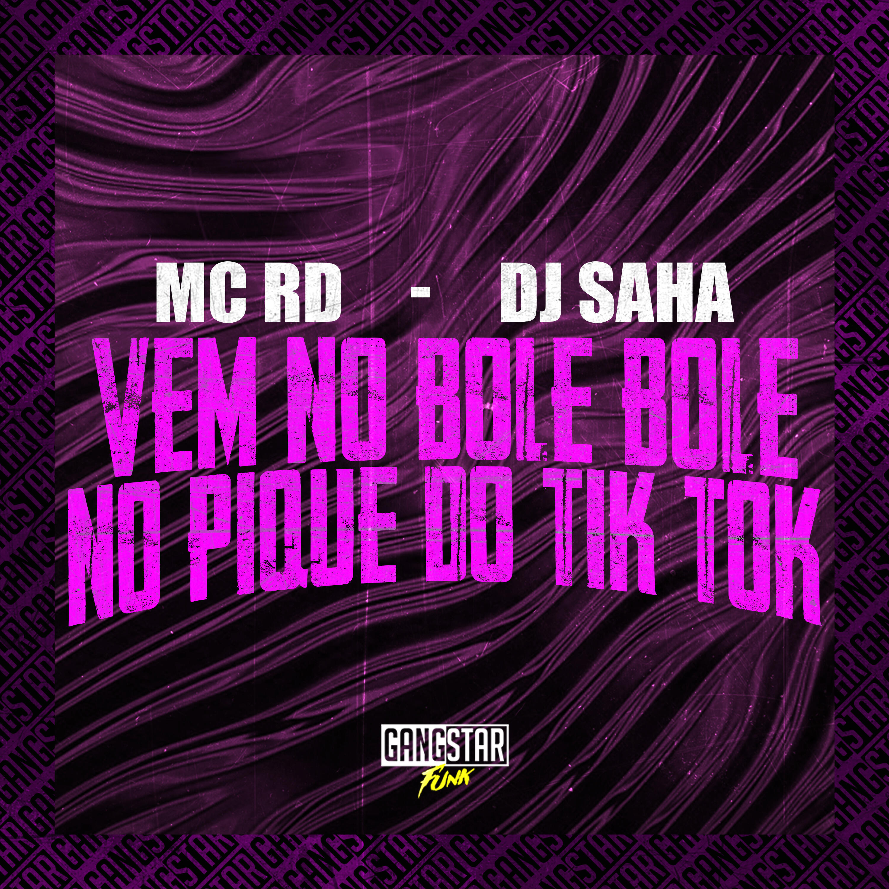 Постер альбома Vem no Bole Bole / No Pique do Tik Tok