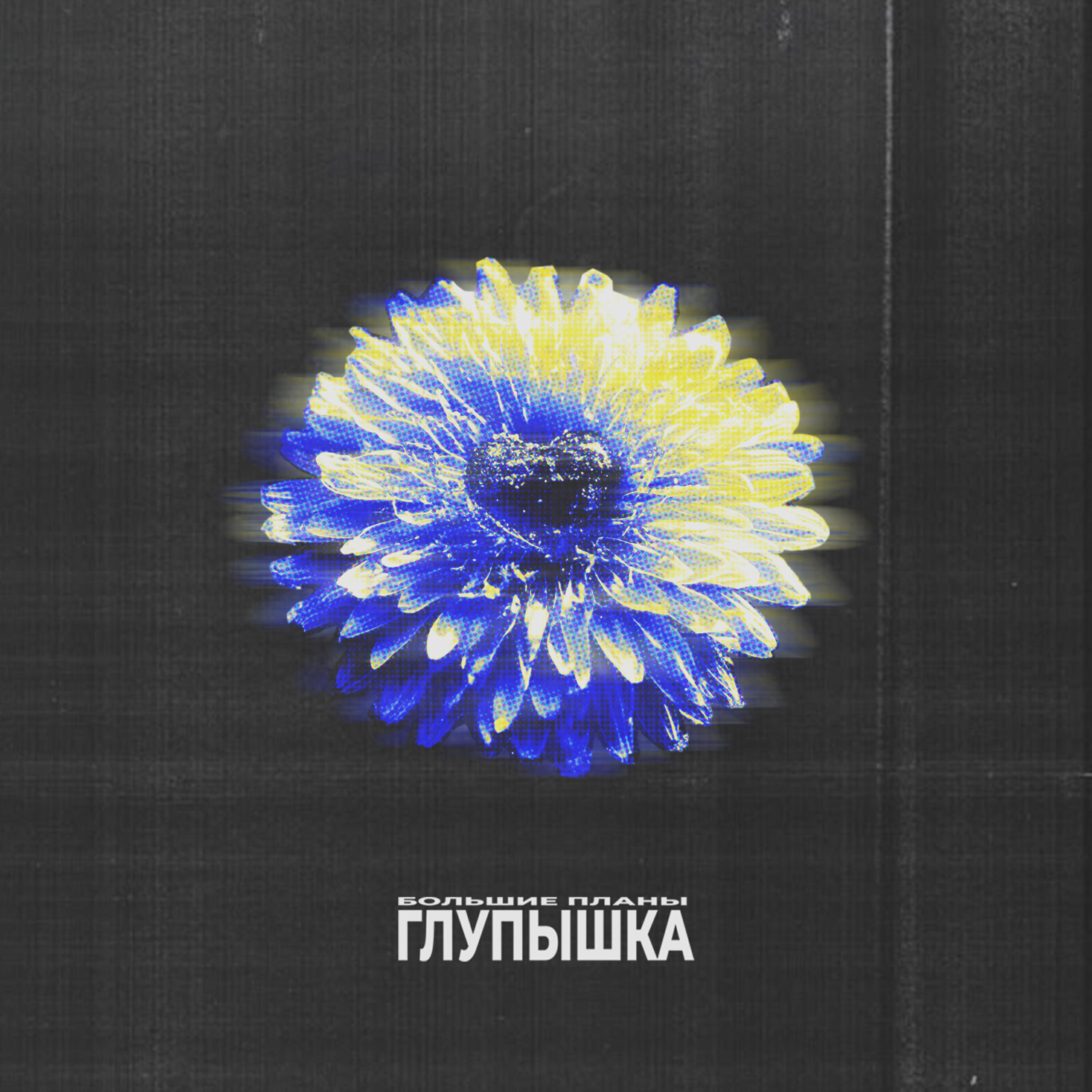 БОЛЬШИЕ ПЛАНЫ