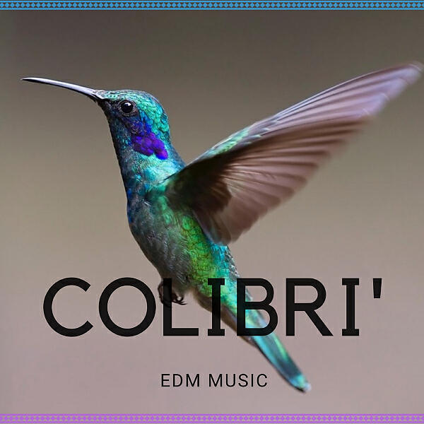 Релиз Colibrì EDM Music